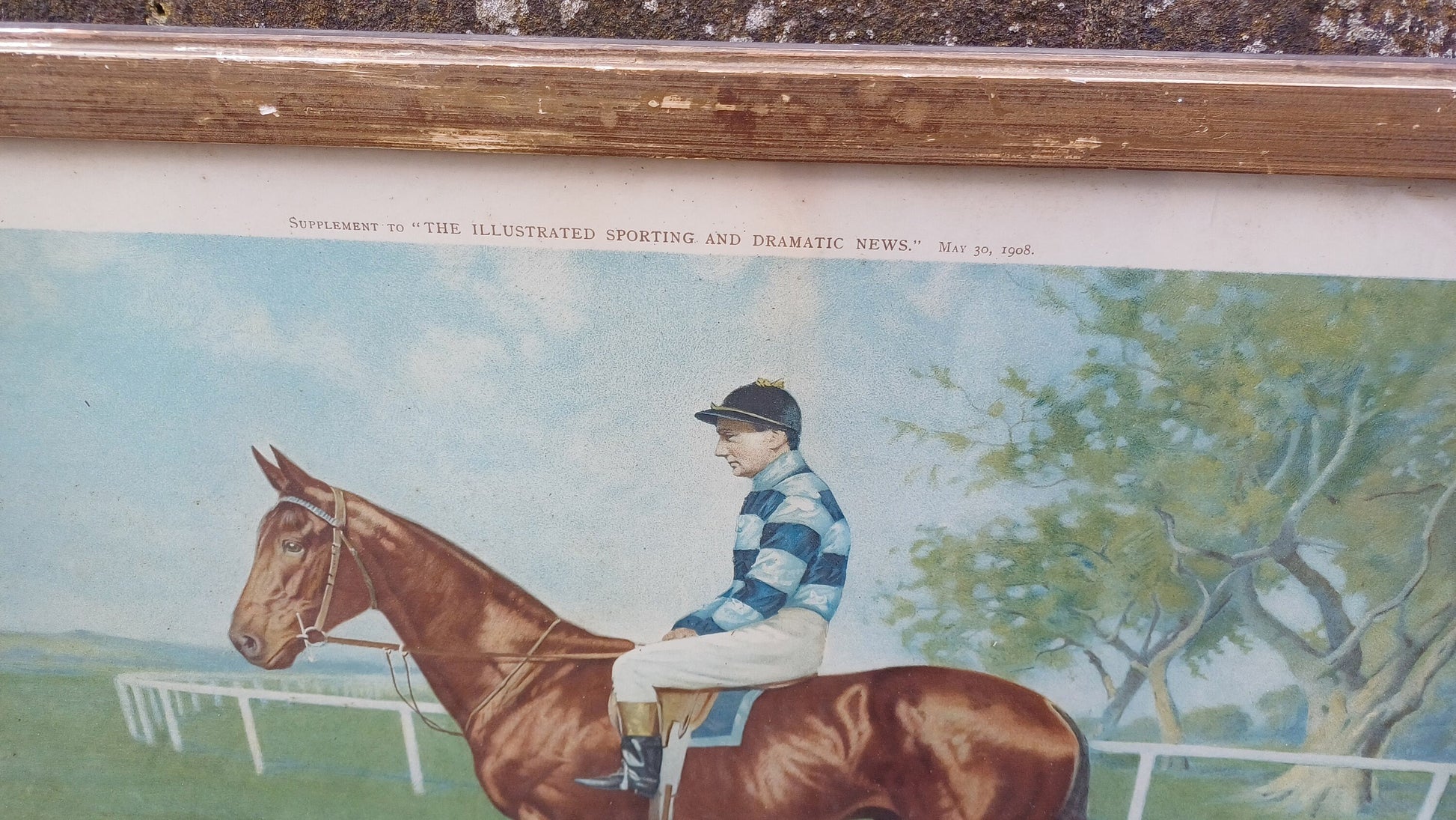 Large Wool Winder Horse Racing Portrait Antique Colour Print Equestrian St Leger British History Framed 55 x 44 cm