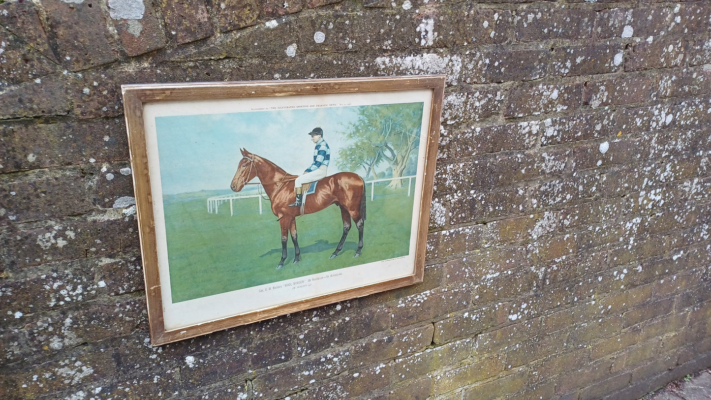 Large Wool Winder Horse Racing Portrait Antique Colour Print Equestrian St Leger British History Framed 55 x 44 cm