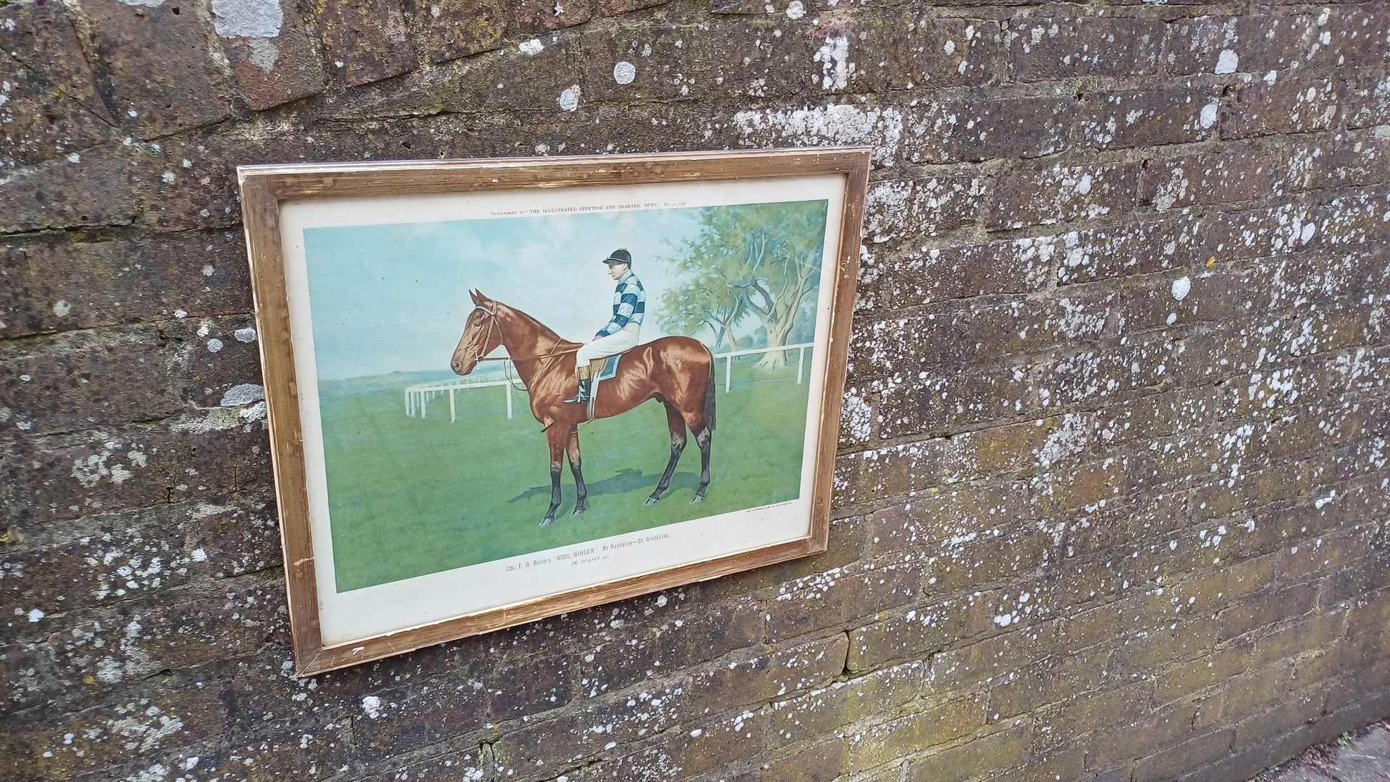 Large Wool Winder Horse Racing Portrait Antique Colour Print Equestrian St Leger British History Framed 55 x 44 cm