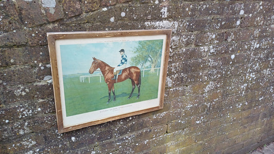 Large Wool Winder Horse Racing Portrait Antique Colour Print Equestrian St Leger British History Framed 55 x 44 cm