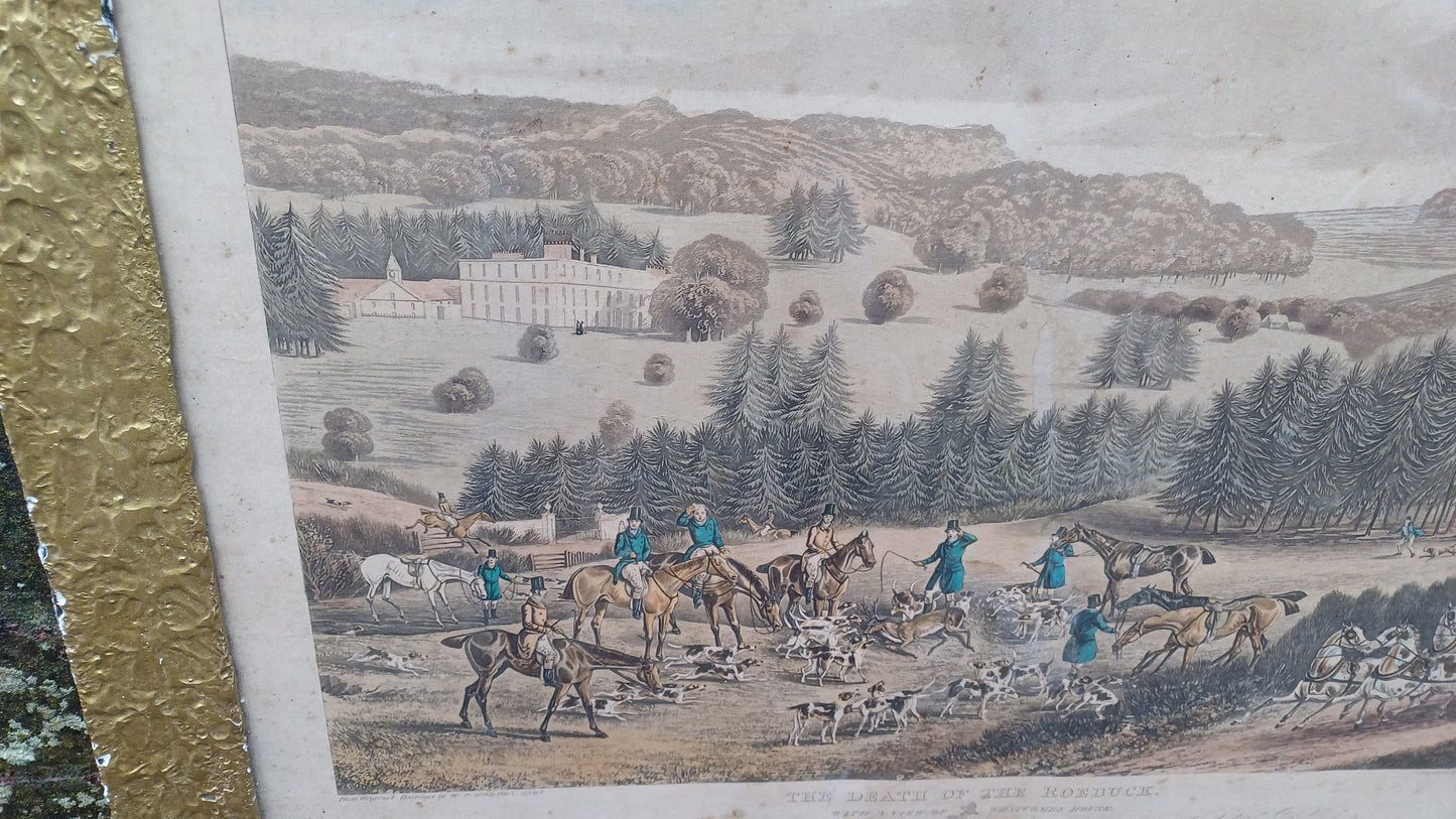 Antique aquatint "Death of the Roebuck" at Whatcombe House drawing by W.P. Hodges, engraving by M. Alken & R.C. Reeve pub McLean London 1834