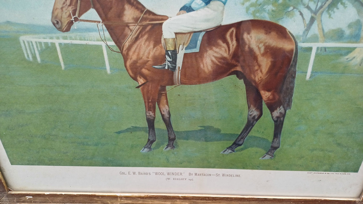 Large Wool Winder Horse Racing Portrait Antique Colour Print Equestrian St Leger British History Framed 55 x 44 cm