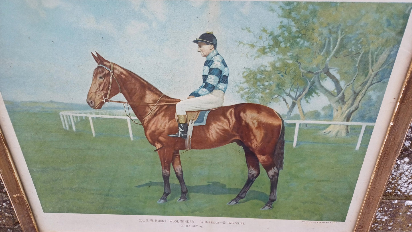 Large Wool Winder Horse Racing Portrait Antique Colour Print Equestrian St Leger British History Framed 55 x 44 cm