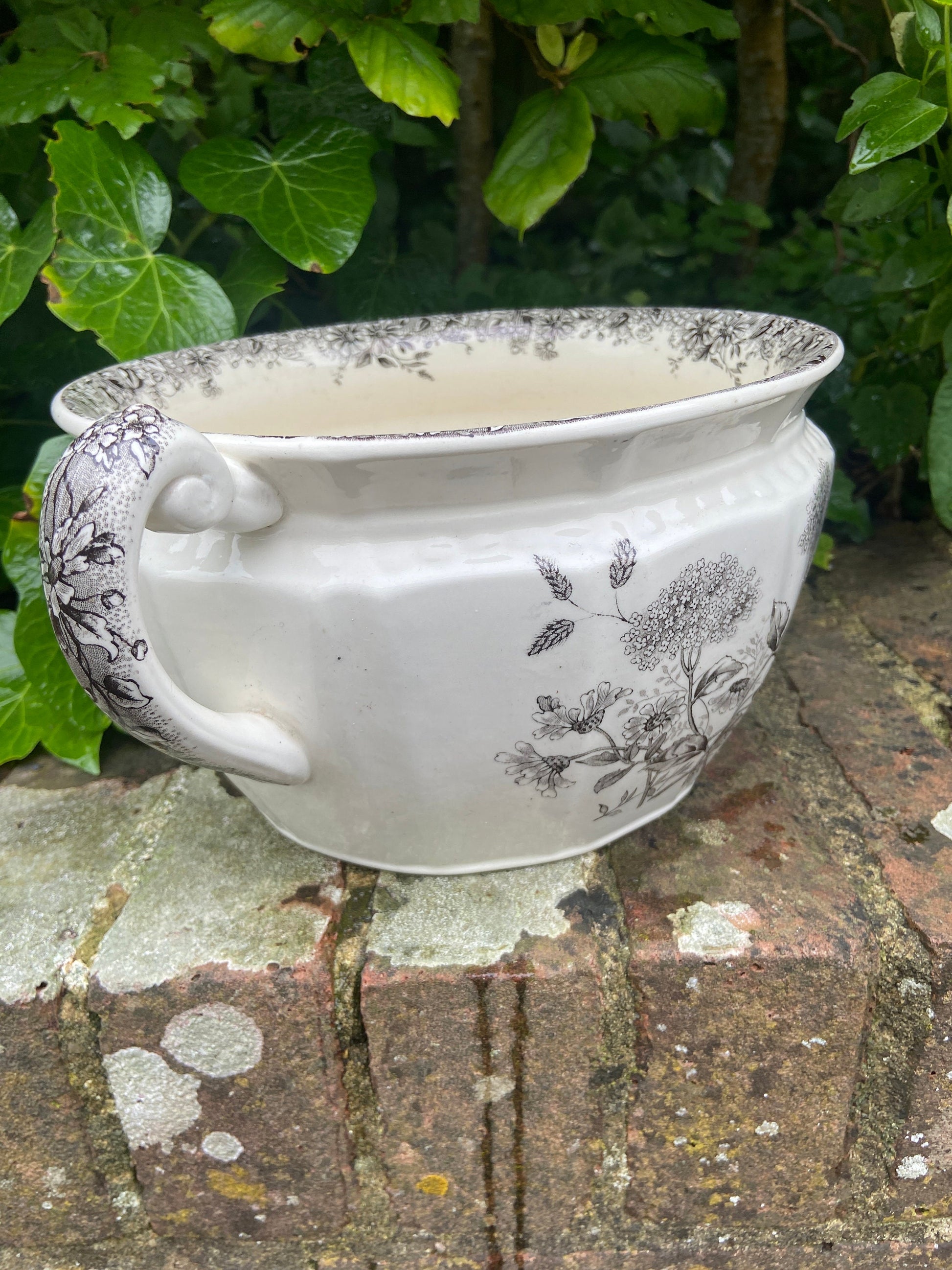 Vintage Black and White chamber pot indoor planter, plant pot, potty, plantpot - made by K & C, Meadow Sweet
