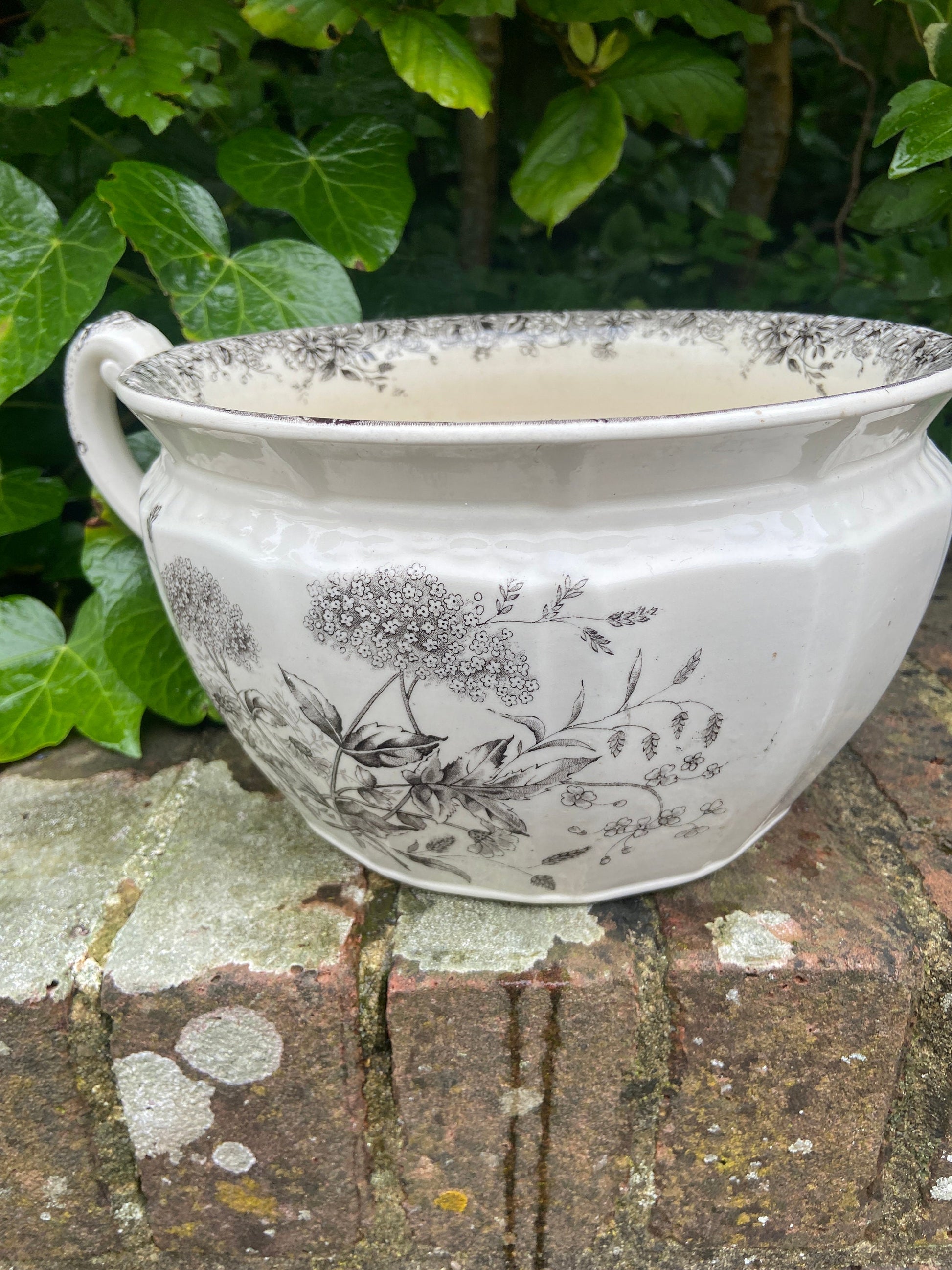 Vintage Black and White chamber pot indoor planter, plant pot, potty, plantpot - made by K & C, Meadow Sweet