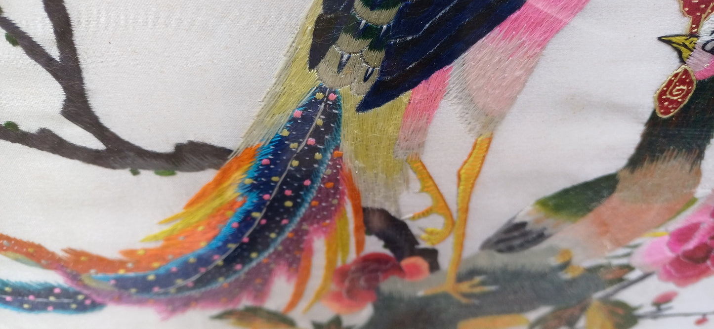 Outstanding Colourful Pair of Vintage Bird of Paradise Embroidery Pictures in Ornate Gold Frames.