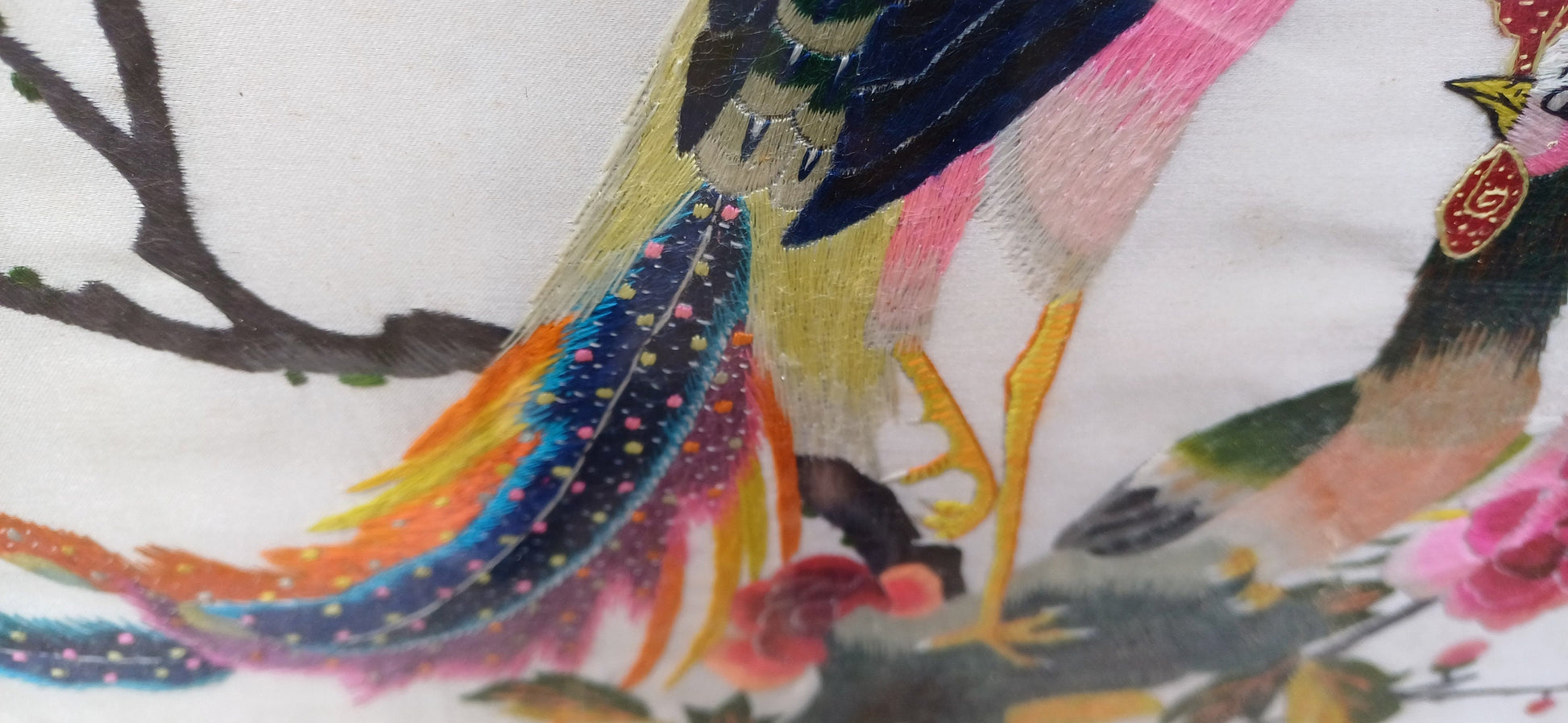 Outstanding Colourful Pair of Vintage Bird of Paradise Embroidery Pictures in Ornate Gold Frames.