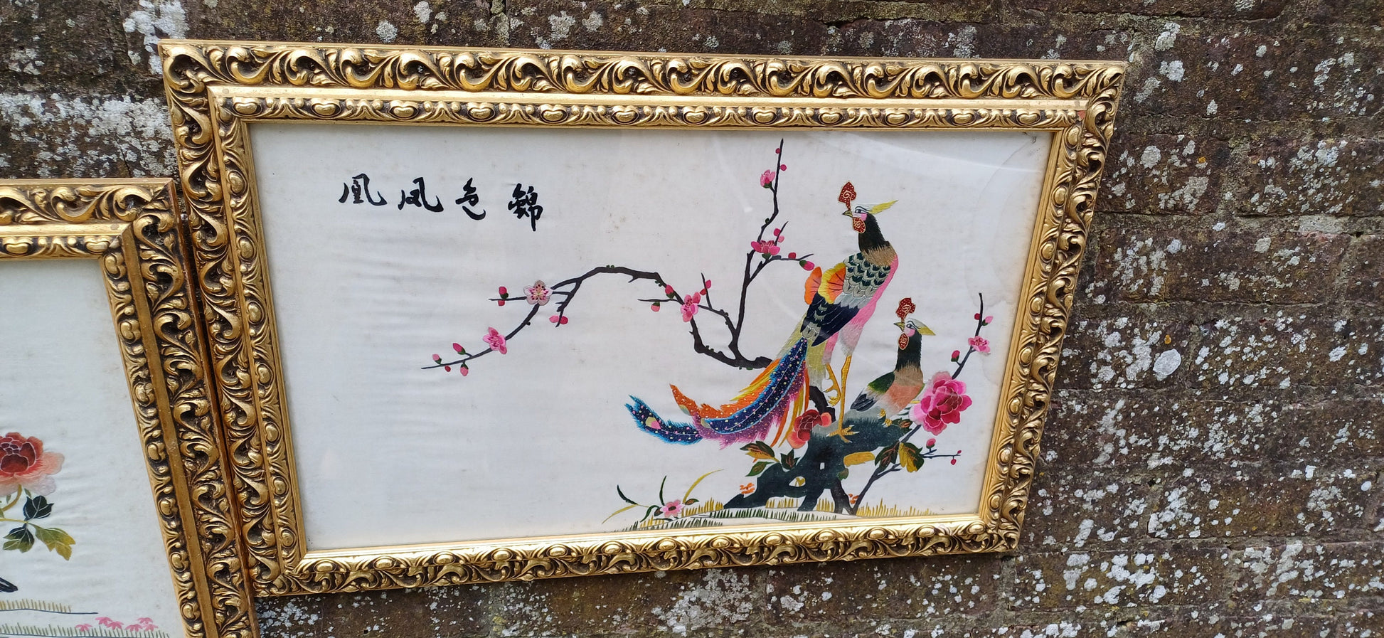 Outstanding Colourful Pair of Vintage Bird of Paradise Embroidery Pictures in Ornate Gold Frames.