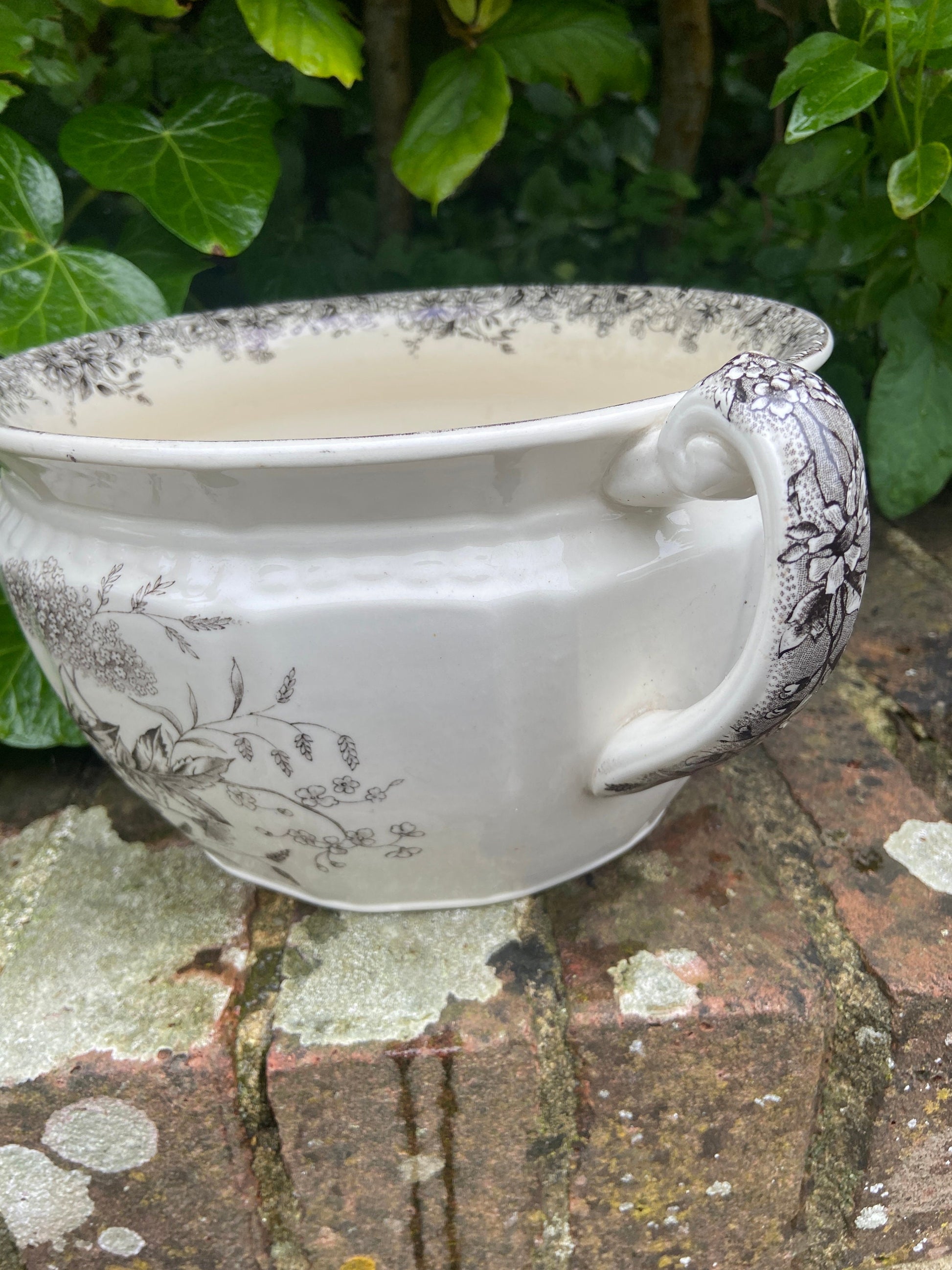 Vintage Black and White chamber pot indoor planter, plant pot, potty, plantpot - made by K & C, Meadow Sweet