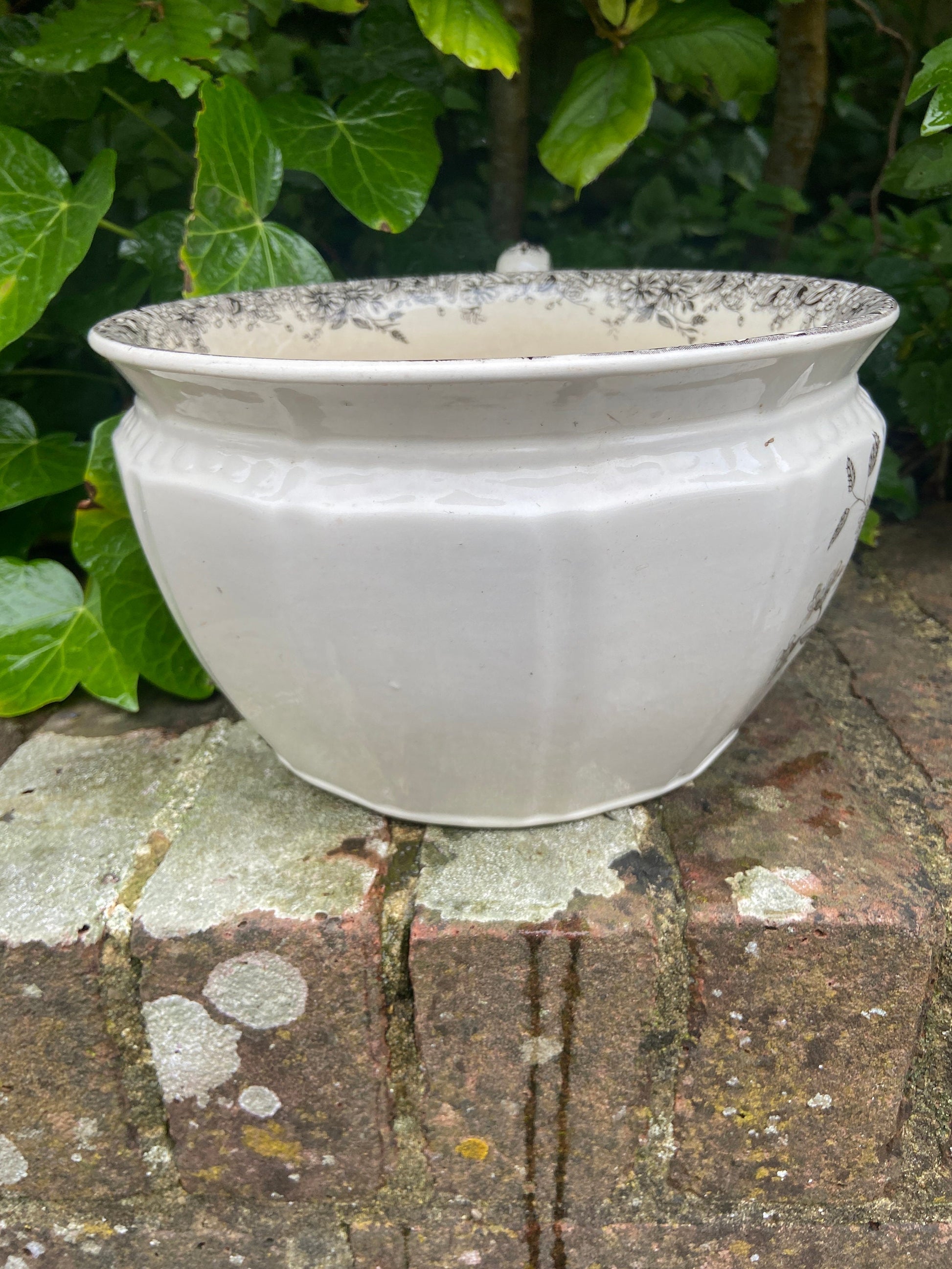 Vintage Black and White chamber pot indoor planter, plant pot, potty, plantpot - made by K & C, Meadow Sweet