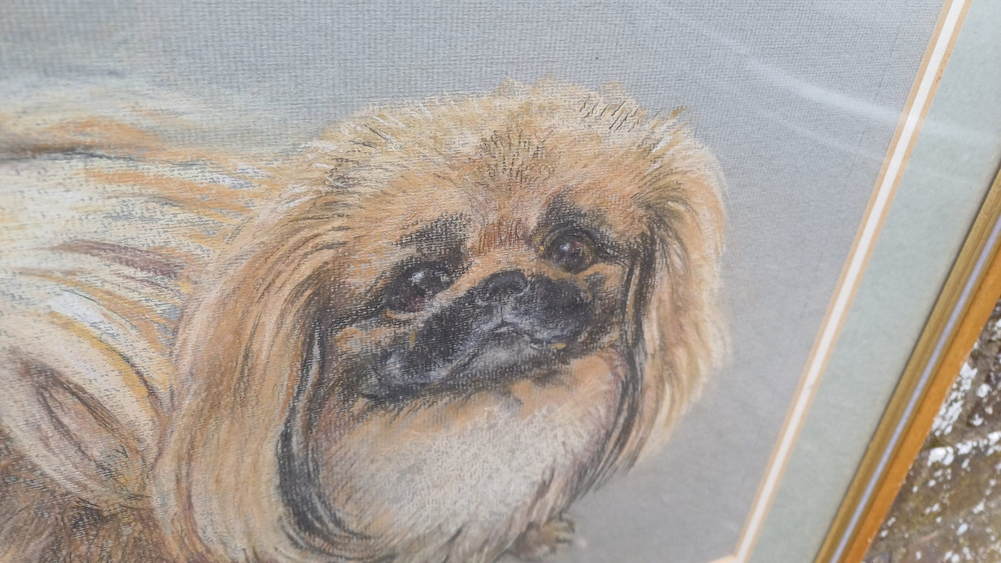 Original vintage pastel by Valerie Miles 1994, original drawing by famous Welsh artist, Pekinese Pekingese dog, Tricki Woo