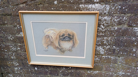 Original vintage pastel by Valerie Miles 1994, original drawing by famous Welsh artist, Pekinese Pekingese dog, Tricki Woo