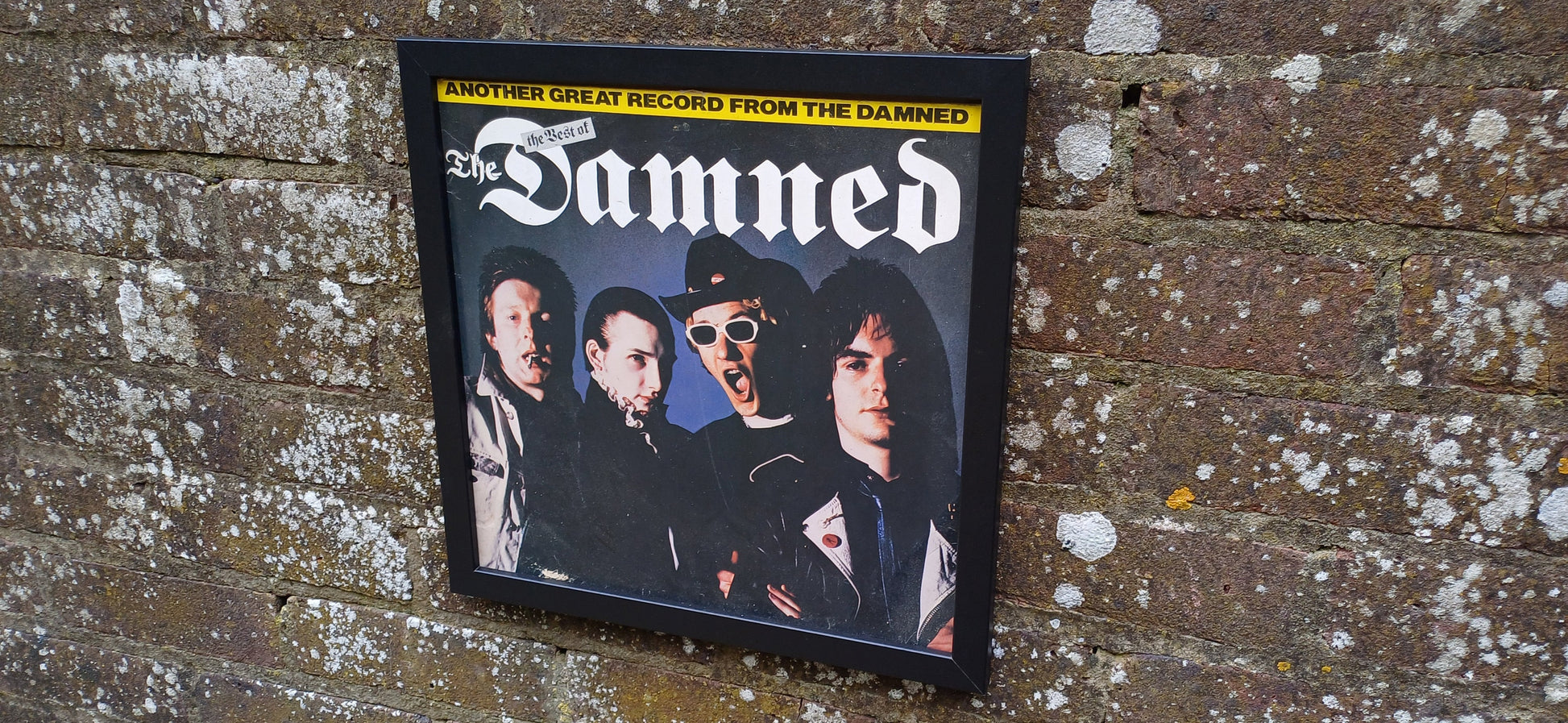 The Best of the Damned Genuine Original Framed Glazed Album Cover Pop Art Memorabilia.