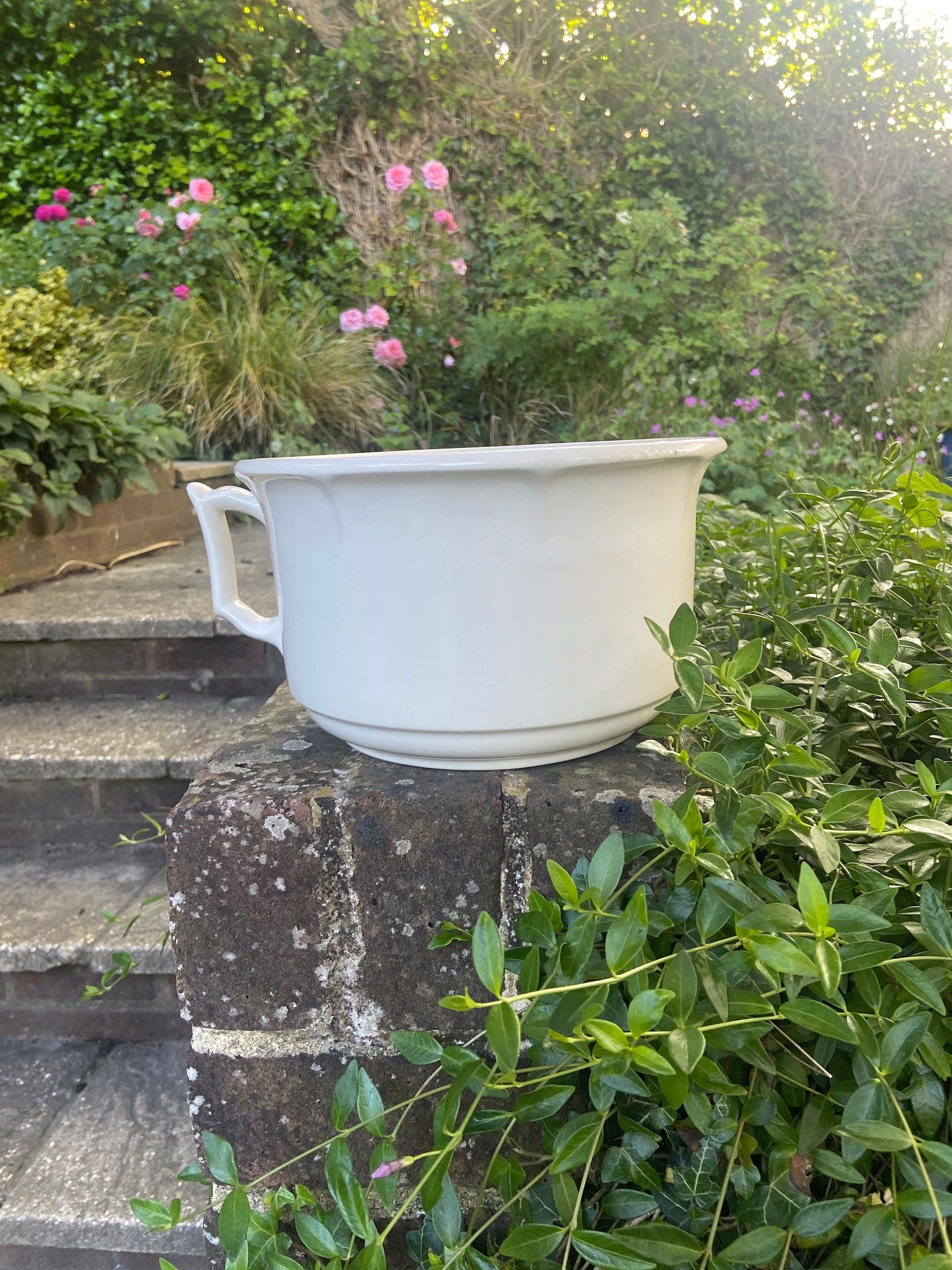 vintage white, vintage cream chamber pot, potty, indoor planter, victorian potty, china plant pot