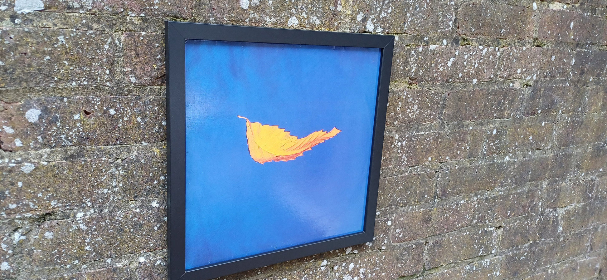 Genuine Original Framed Glazed Album Cover Pop Art Memorabilia.