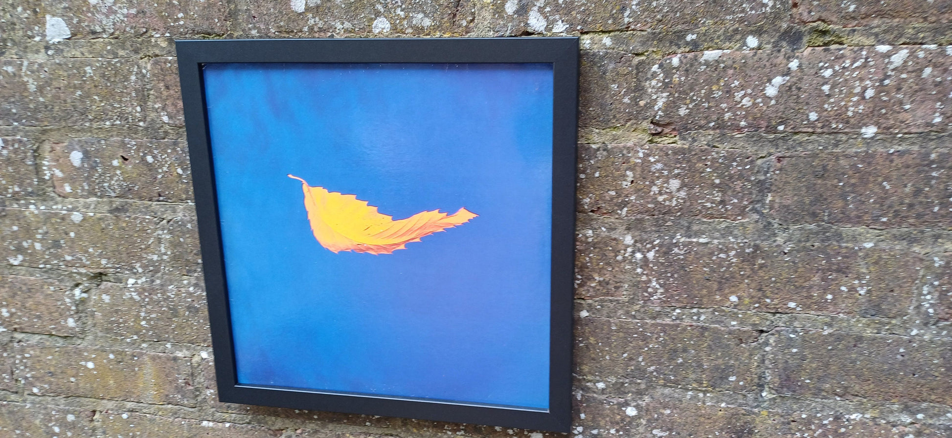 Genuine Original Framed Glazed Album Cover Pop Art Memorabilia.
