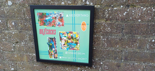 Rare Buzzcocks 'Are Everything' 6 Track Genuine Original Framed Glazed Album Cover Pop Art Memorabilia. USA Import
