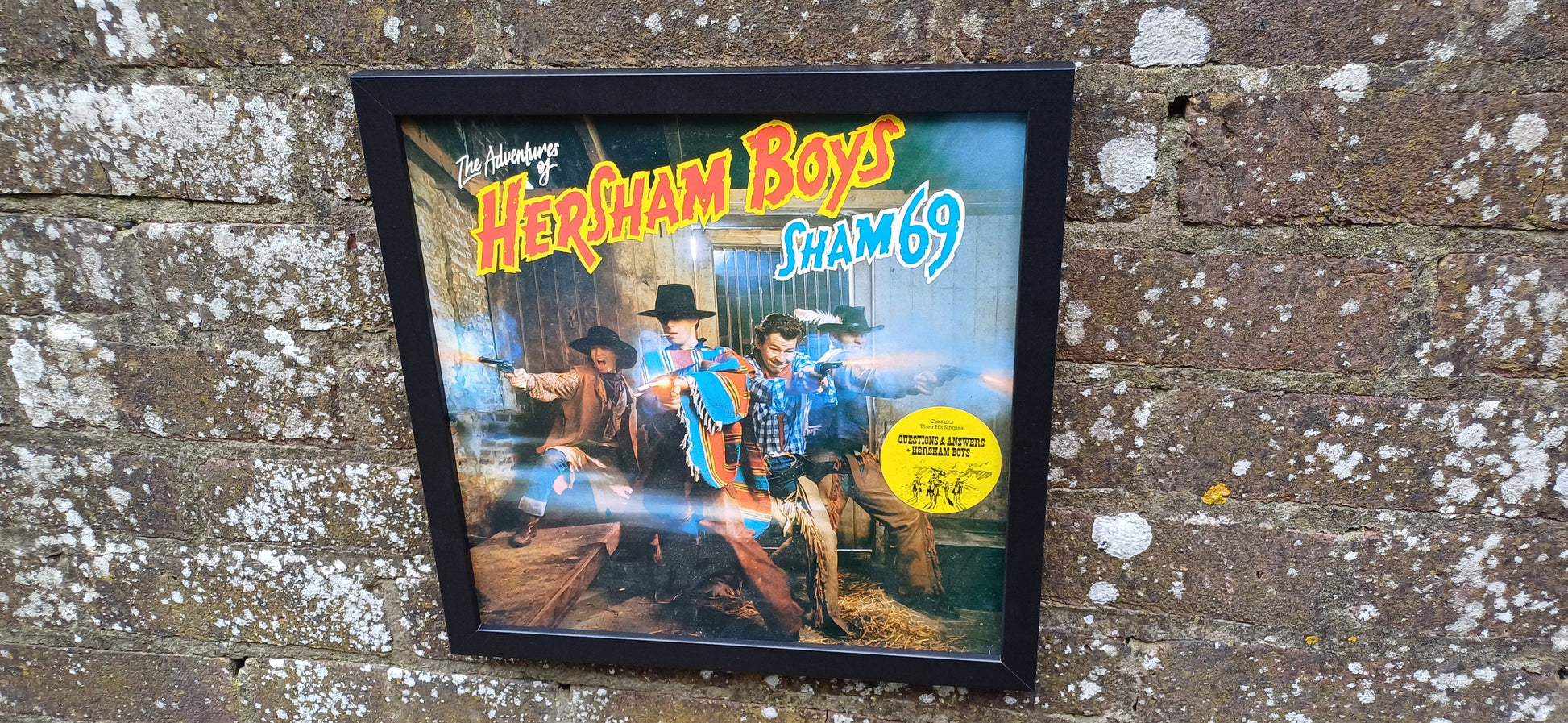 Sham 69 Hersham Boys Genuine Original Framed Glazed Album Cover Pop Art Memorabilia.