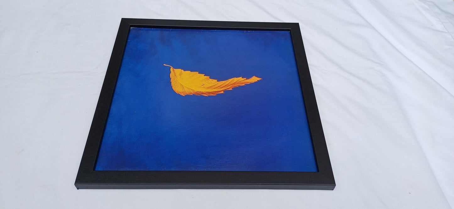 Genuine Original Framed Glazed Album Cover Pop Art Memorabilia.