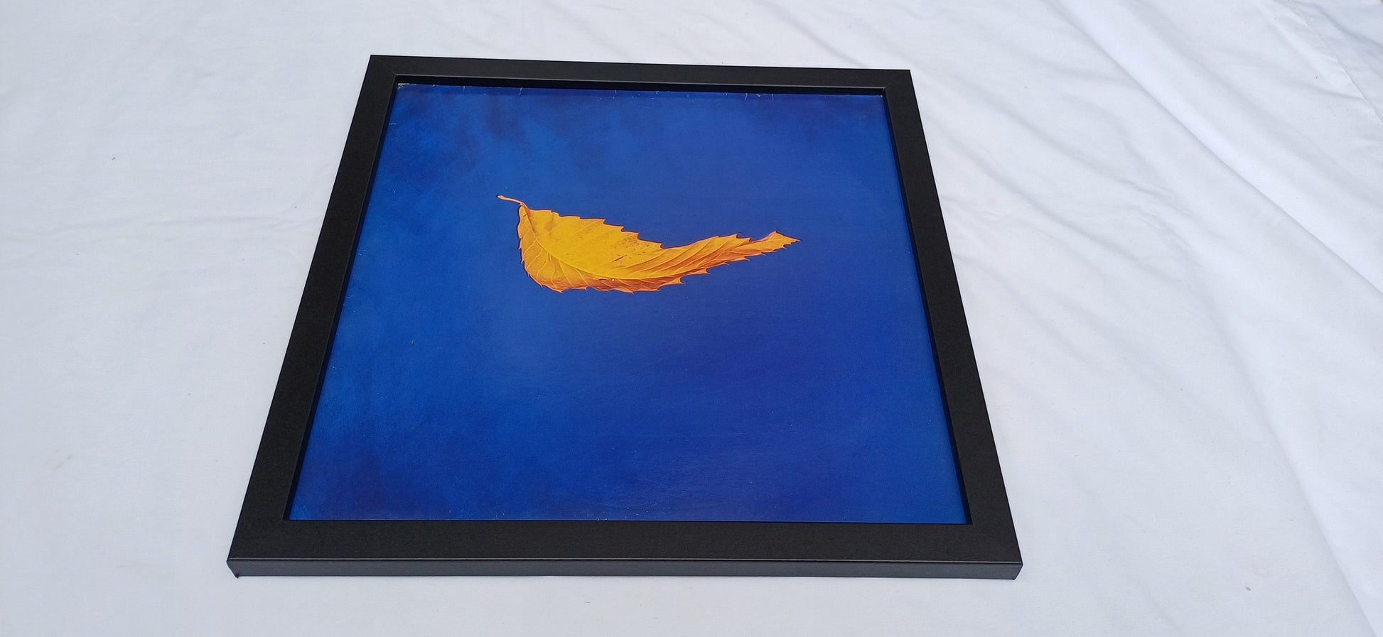 Genuine Original Framed Glazed Album Cover Pop Art Memorabilia.