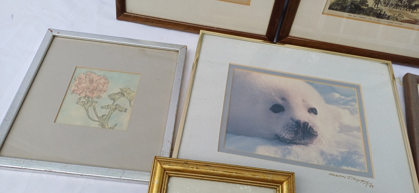 Collection of 6 Vintage Pictures Picture with Mounts Frames Framing Glazed with Boarded Backings Frame Artist Upcycling. Photo Photograph