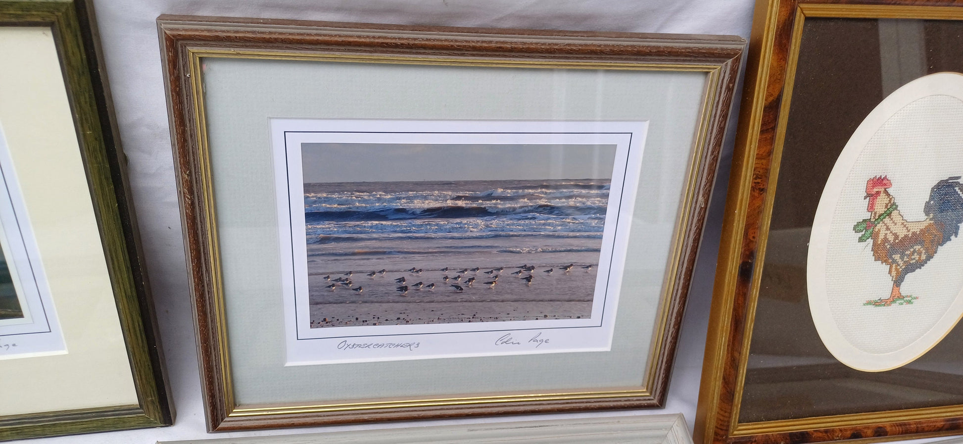 6 Collection of Vintage Pictures Picture Frames Framing Glazed with Frame Photo Artist Upcycling Project. Colin Page Photograph. Birds