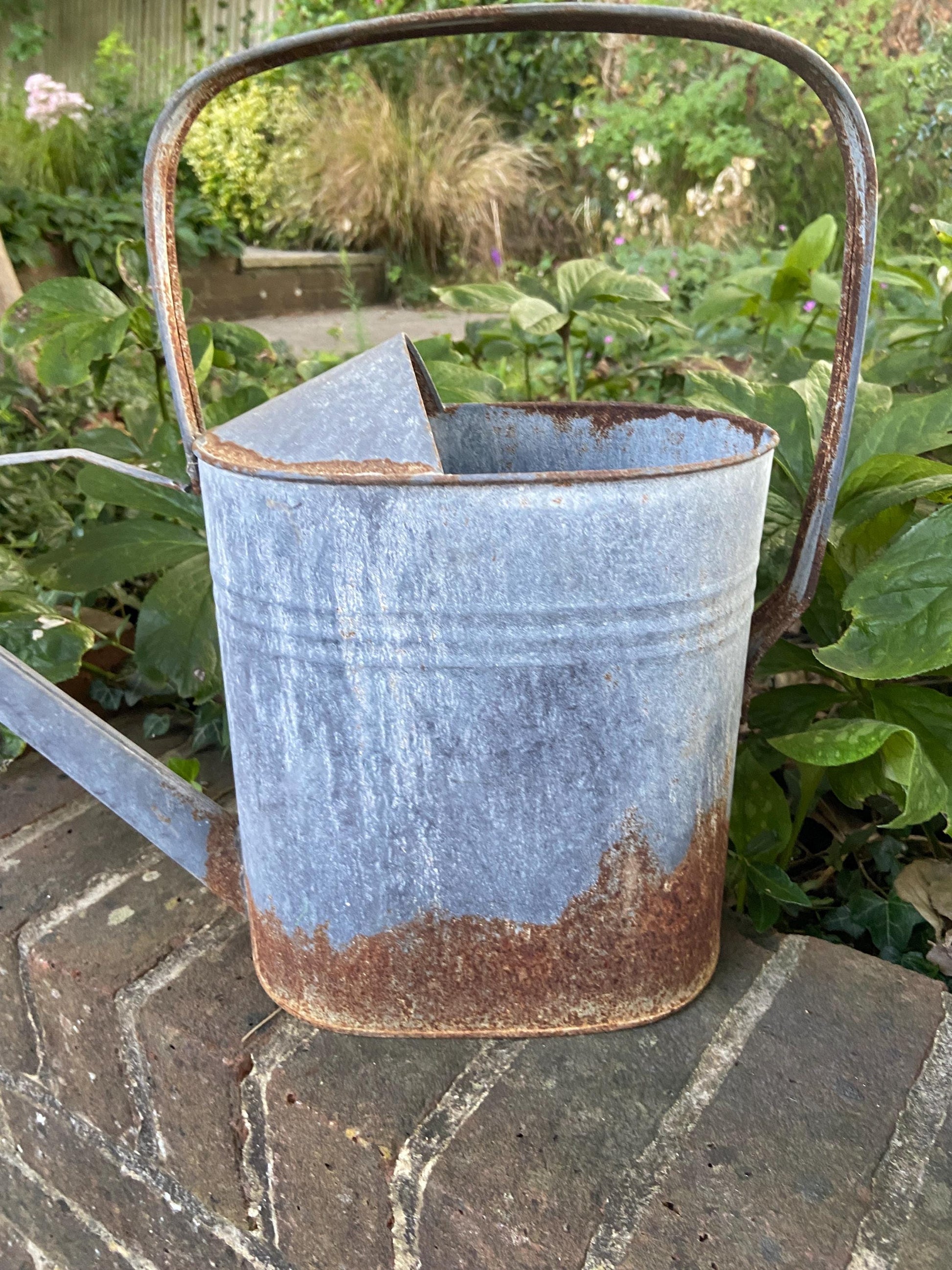 Vintage early 1900s metal watering can with spout and rain shower head