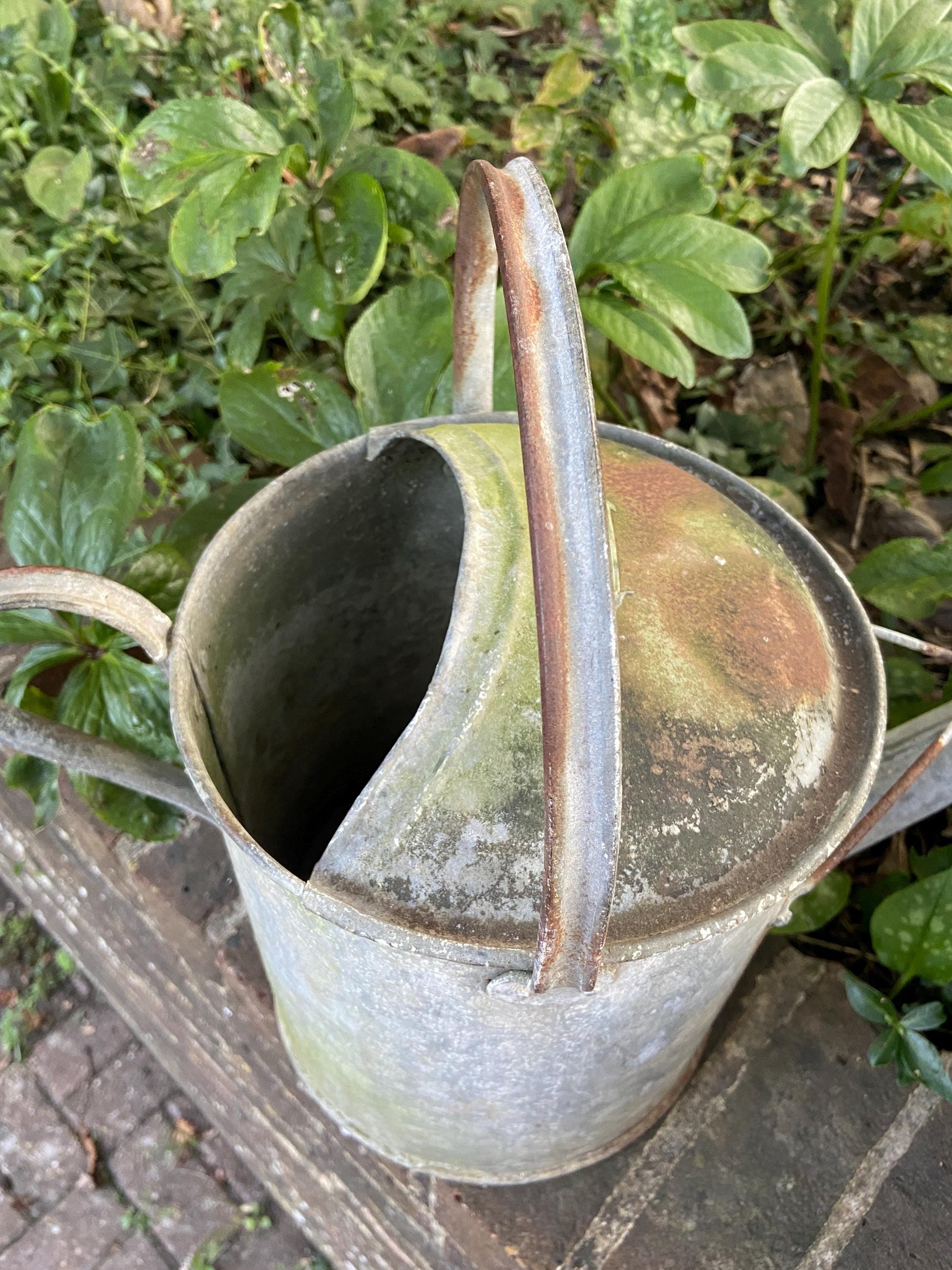 Vintage gardening watering can - vintage water can, vintage gardenware, antique watering can, 2 gallons, early 1900s