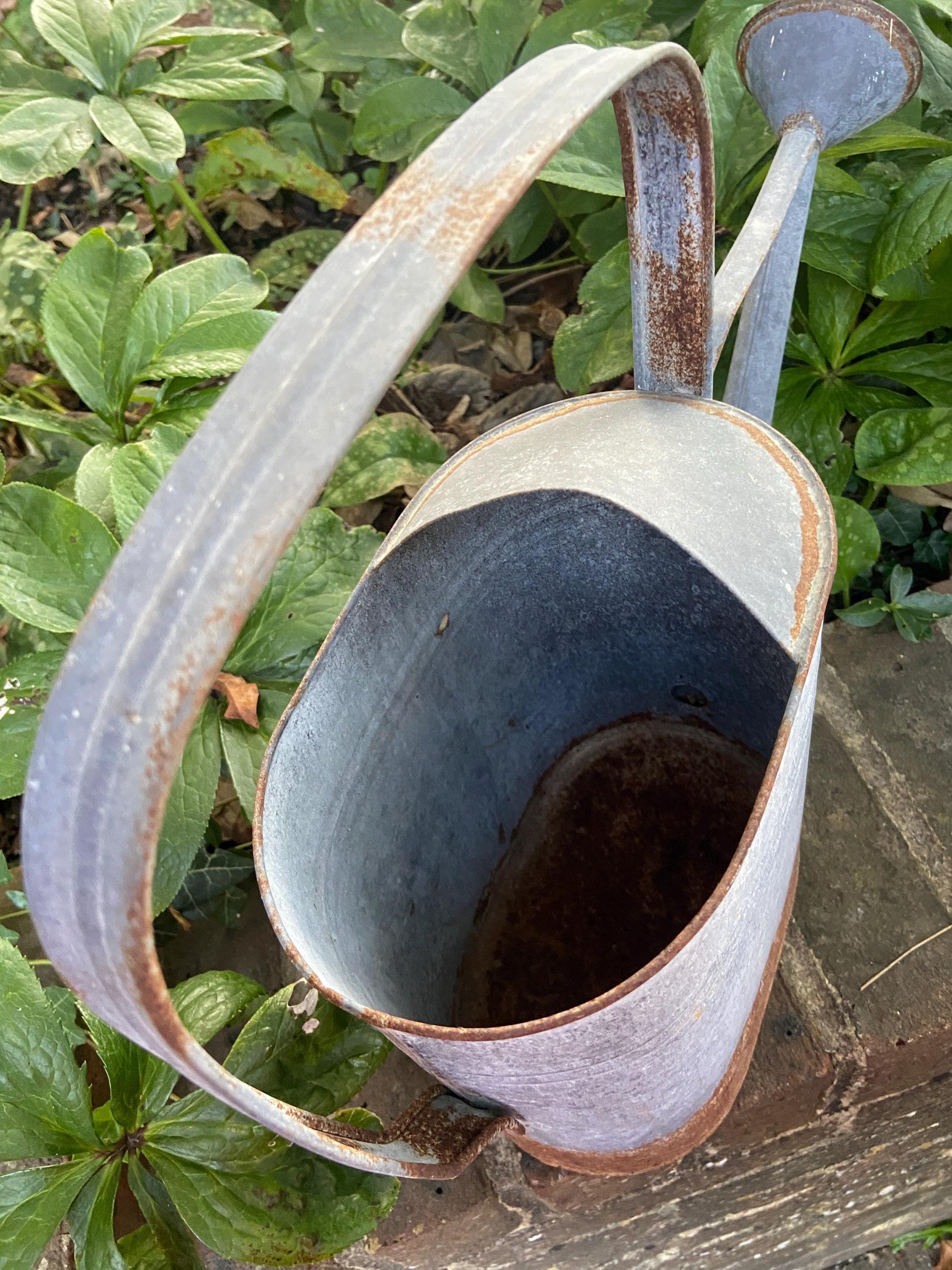 Vintage early 1900s metal watering can with spout and rain shower head