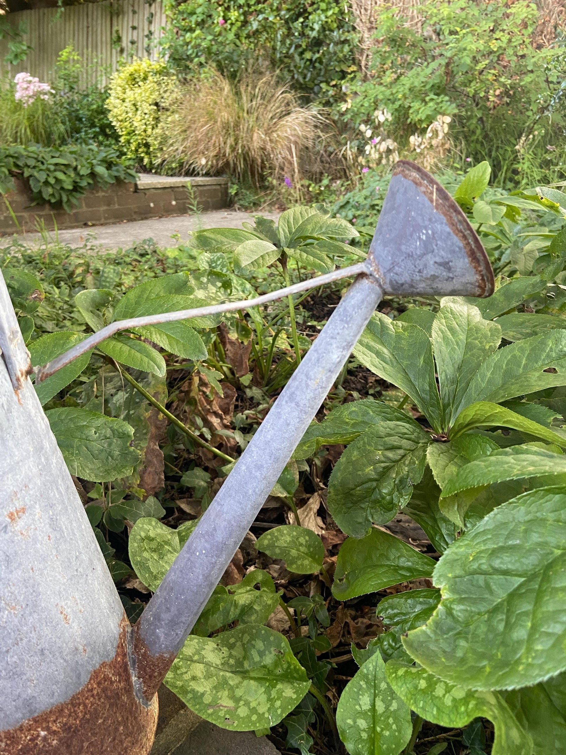 Vintage early 1900s metal watering can with spout and rain shower head