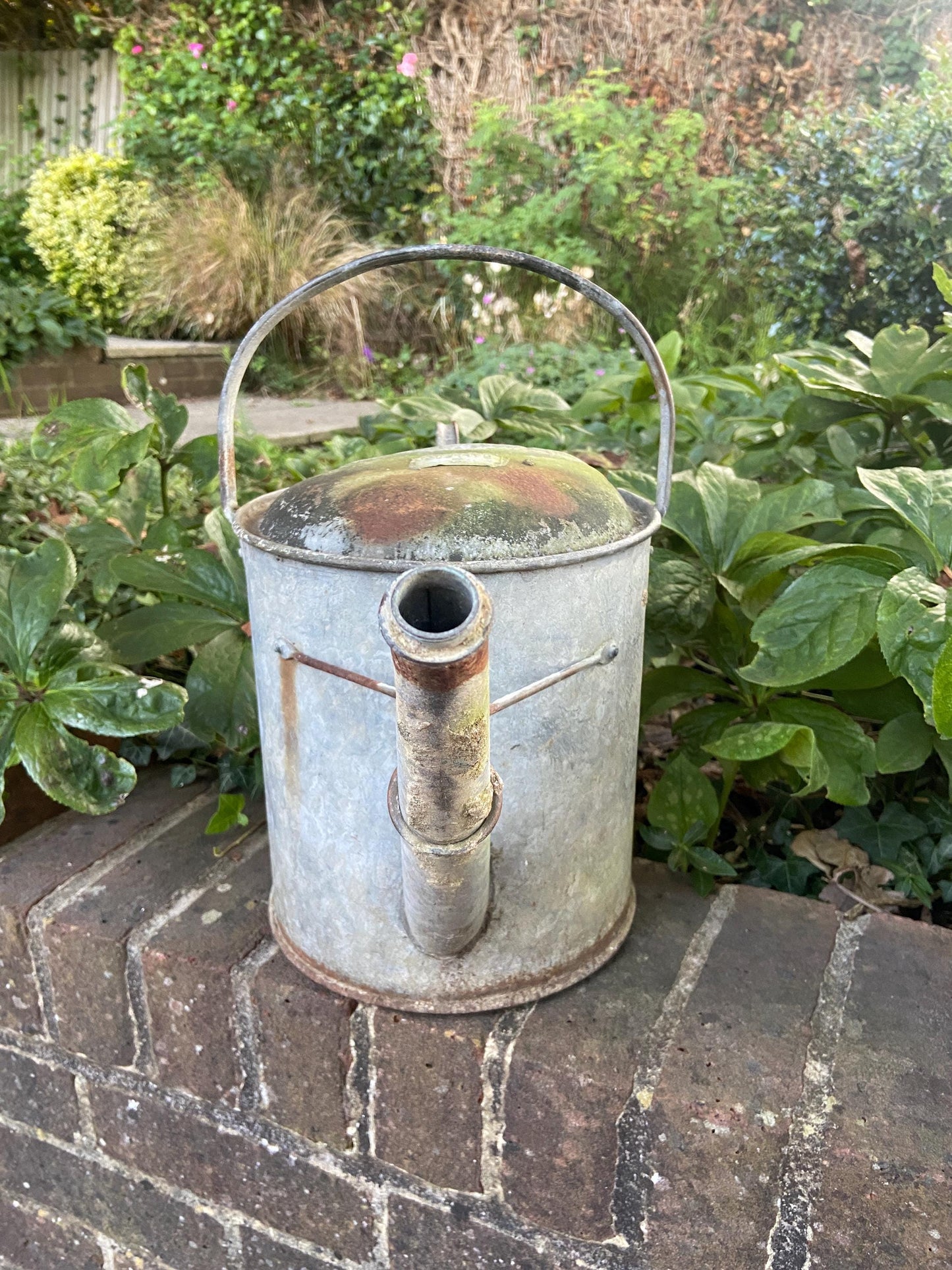 Vintage gardening watering can - vintage water can, vintage gardenware, antique watering can, 2 gallons, early 1900s
