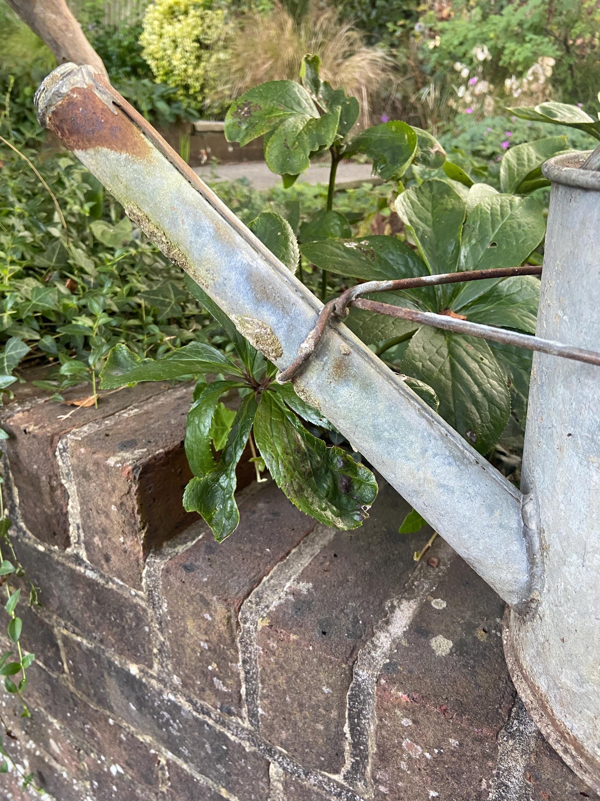 Vintage gardening watering can - vintage water can, vintage gardenware, antique watering can, 2 gallons, early 1900s
