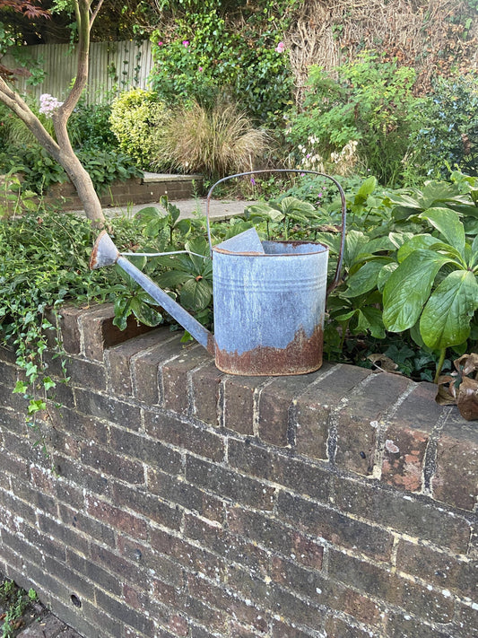 quirky super early 1900s watering can. A silvermatt metal with fantastic vintage detail includingrusted finish andsigns of use. great for decoration indoors or outdoors