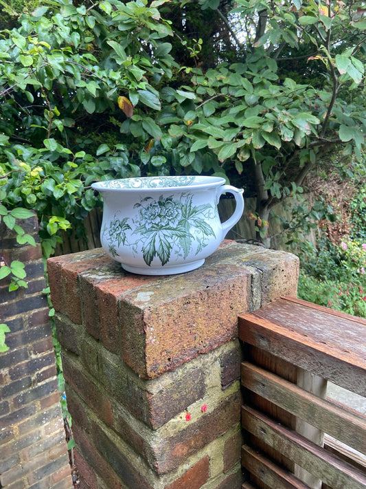 indoor planter, plant pot, victorian pot, chamber pot, china bowl for plants, royal doulton, virginia china