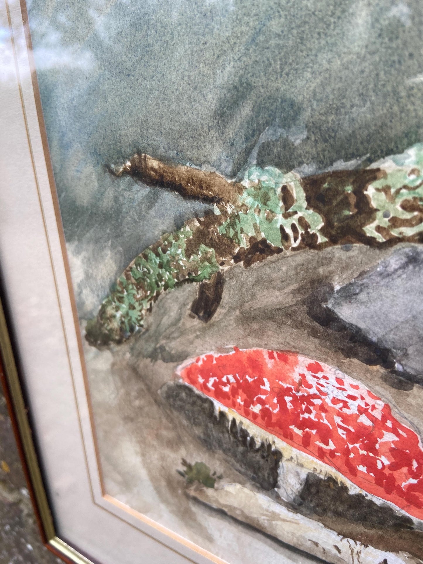 Delightful vintage watercolour painting of mushrooms, toadstools and fungus in the woods - Mary Wilkins framed 37cm x 33cm