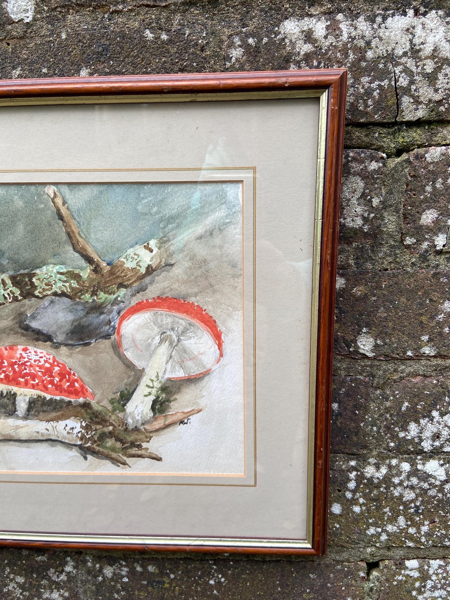 Delightful vintage watercolour painting of mushrooms, toadstools and fungus in the woods - Mary Wilkins framed 37cm x 33cm