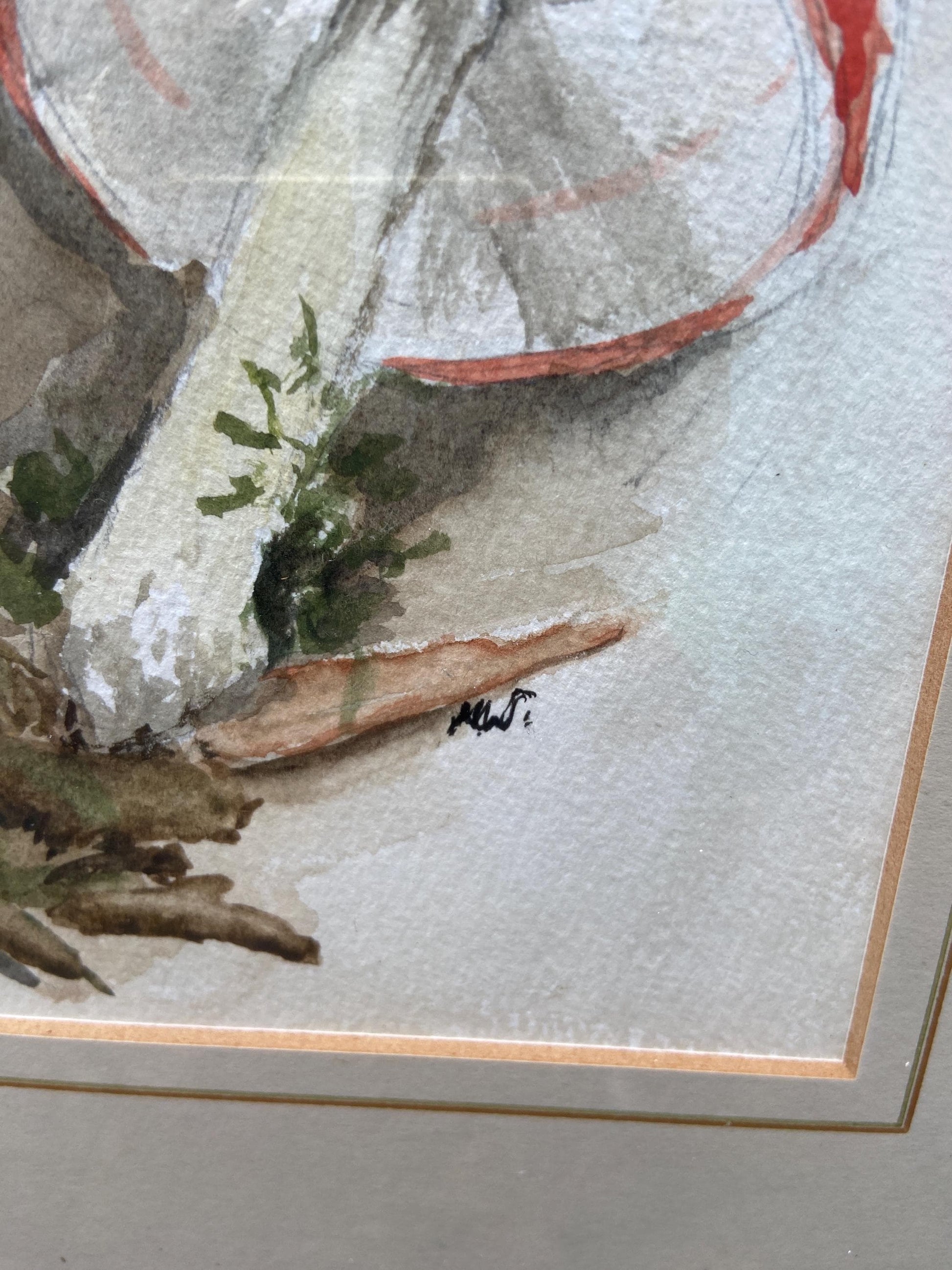 Delightful vintage watercolour painting of mushrooms, toadstools and fungus in the woods - Mary Wilkins framed 37cm x 33cm