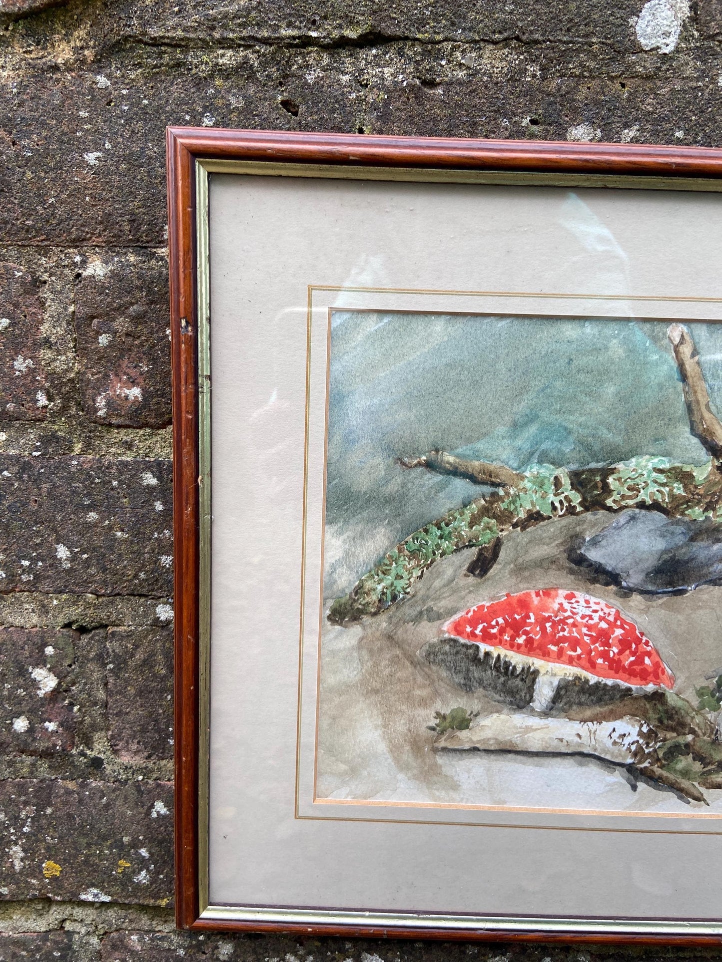Delightful vintage watercolour painting of mushrooms, toadstools and fungus in the woods - Mary Wilkins framed 37cm x 33cm