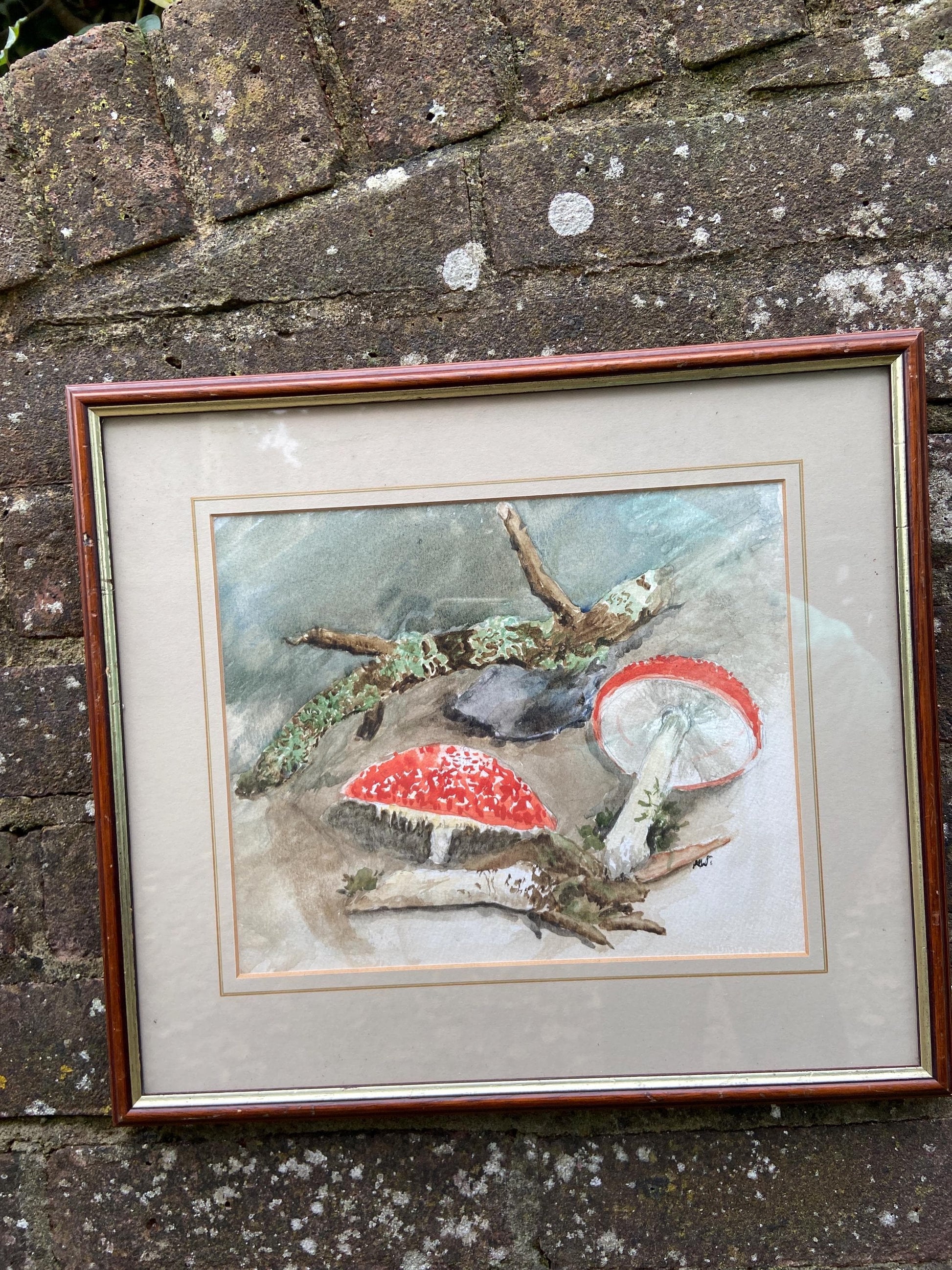 Delightful vintage watercolour painting of mushrooms, toadstools and fungus in the woods - Mary Wilkins framed 37cm x 33cm