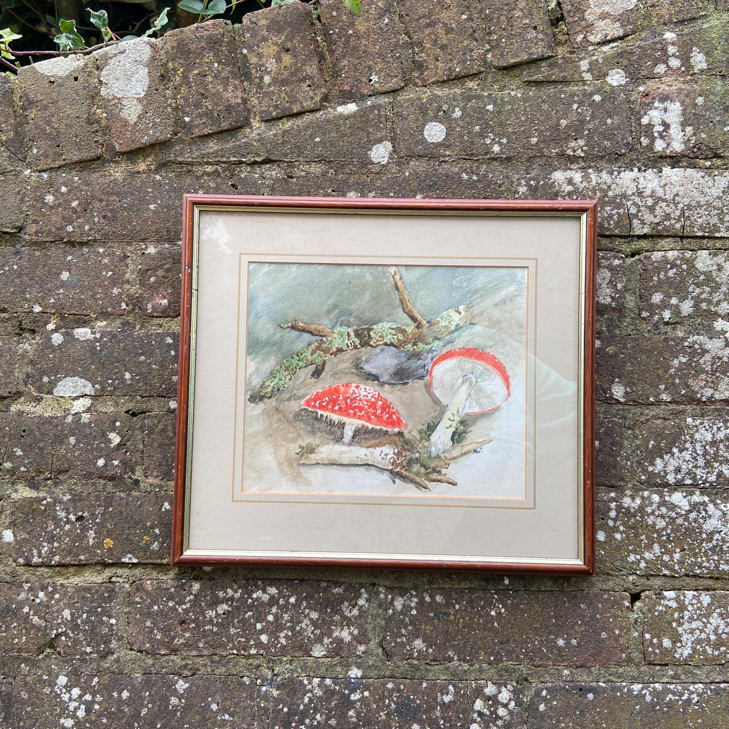 watercolour original painting of mushrooms, toadstools or fungus. lovely amateur painting. framed in glazed frame. vintage art