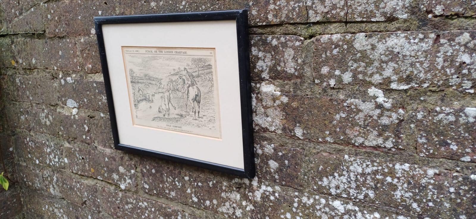 Wonderful Framed Antique Punch Fox Hunting Cartoon Fox Hunting ‘Cold Comfort’ Man Falling Off His Horse.c1898