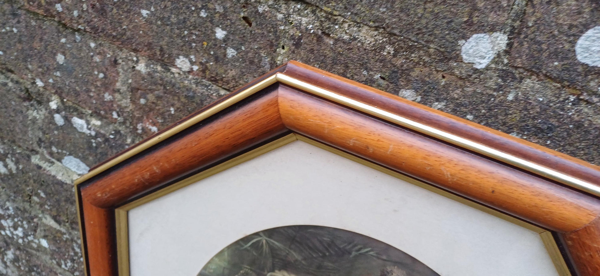 Splendid Very Large Pair of 1980s Vintage Wooden Stained Hexagonal Picture Frames with Glazing and Mounts Traditional Vintage Prints