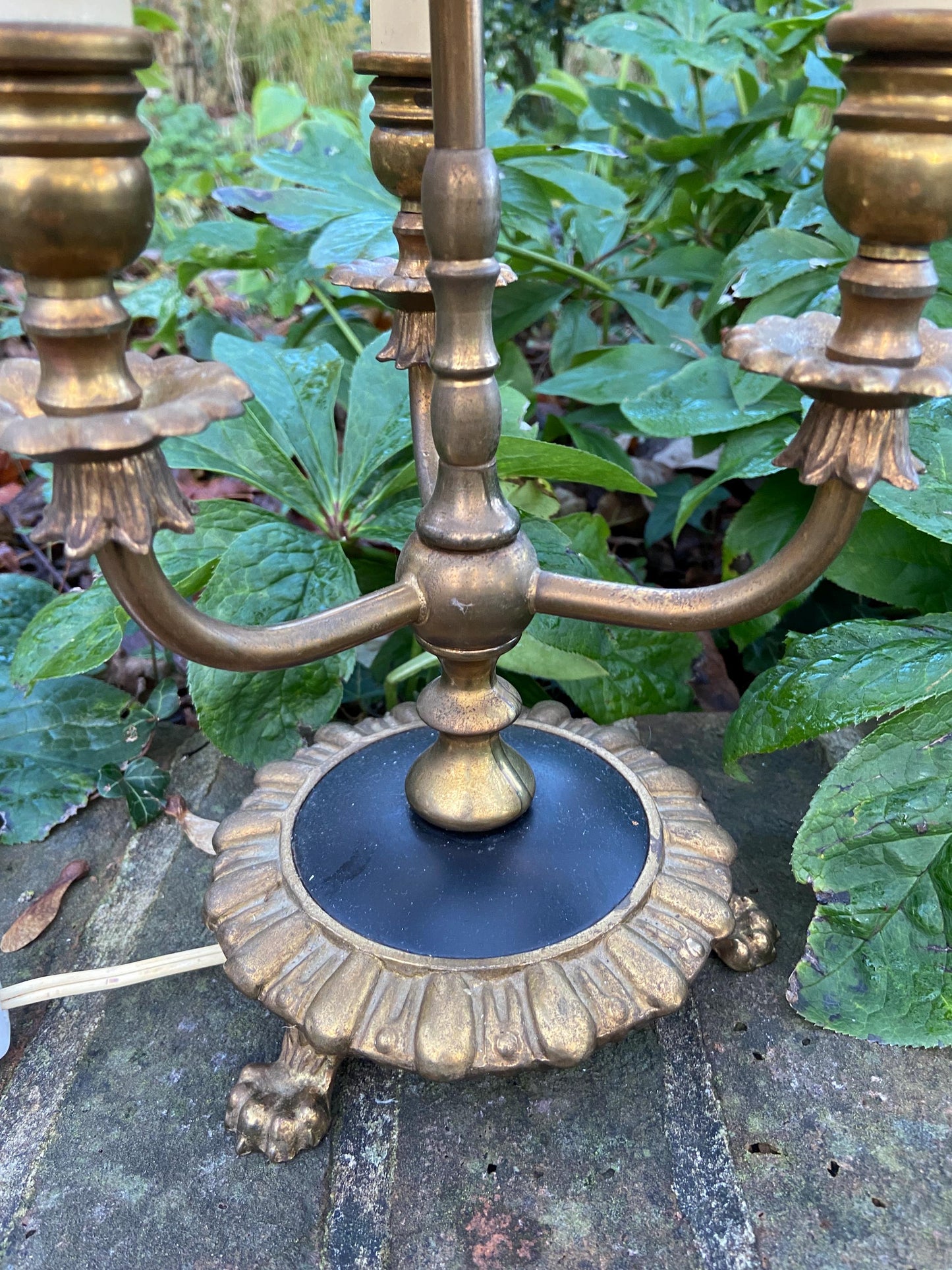 Antique French Bouilotte 3 armed brass office table lamp, heavy quality, newer vintage shade, ebony black detailed base with lion paw feet
