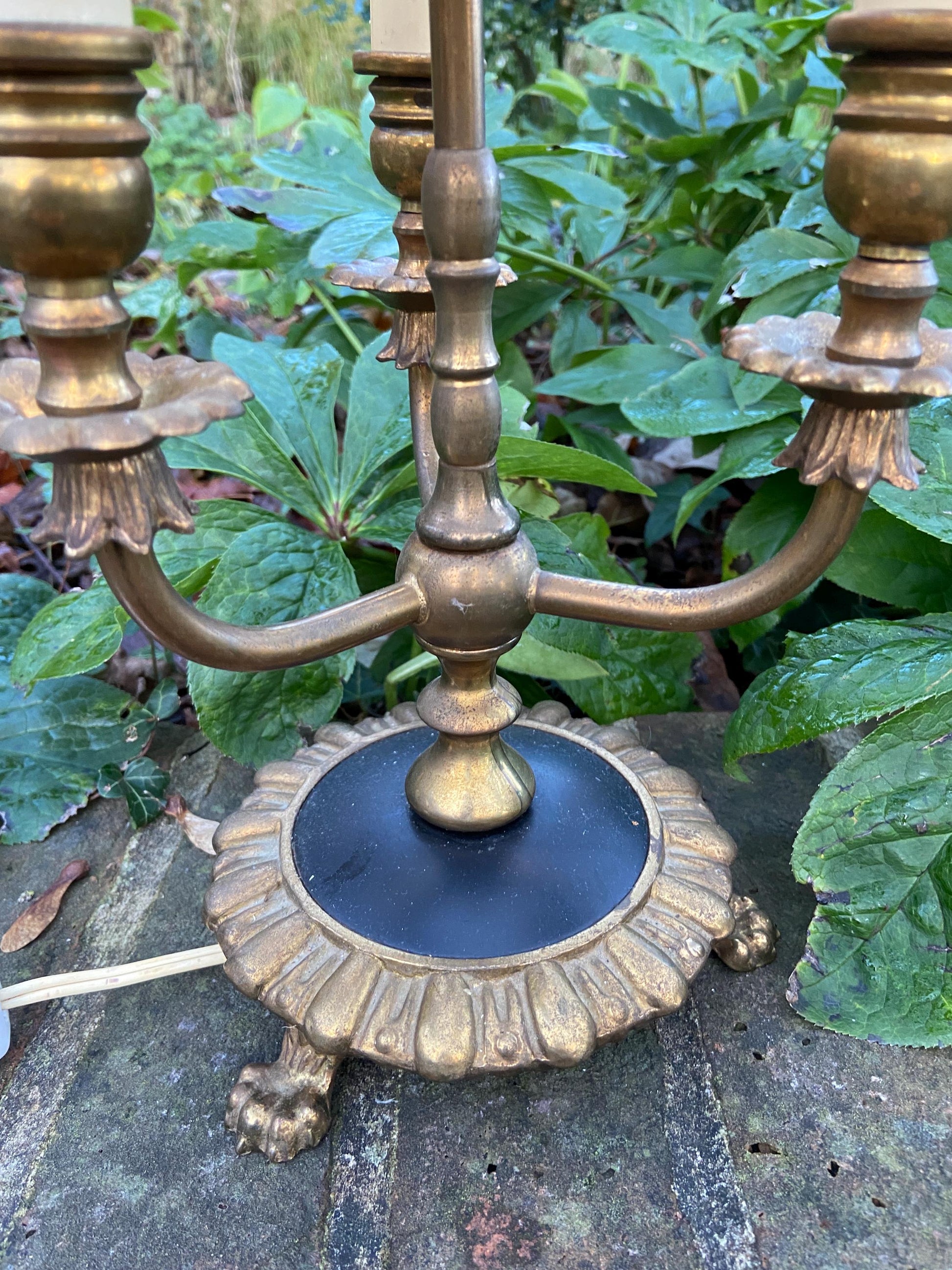 Antique French Bouilotte 3 armed brass office table lamp, heavy quality, newer vintage shade, ebony black detailed base with lion paw feet