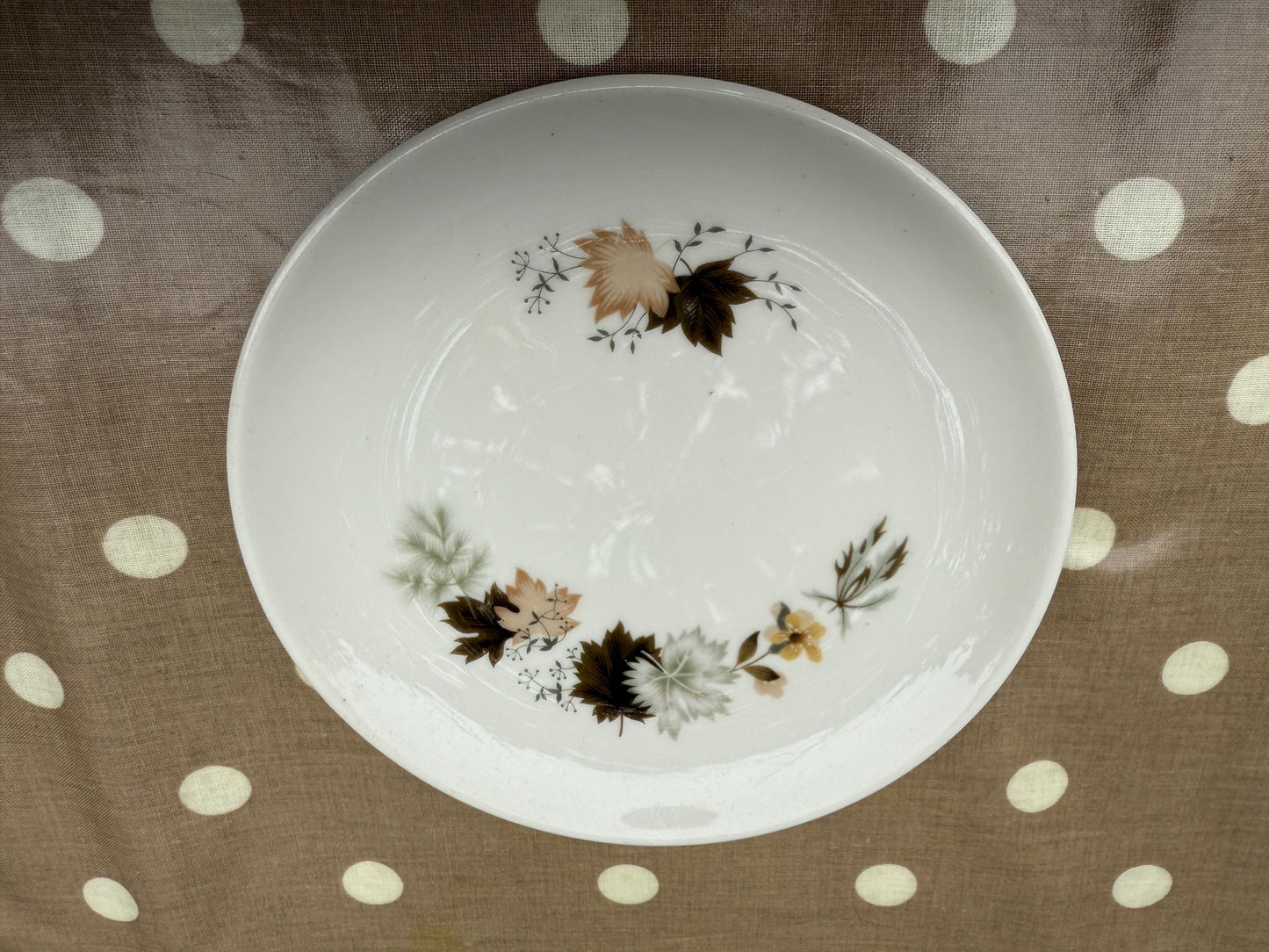 19 Piece Vintage Royal Doulton ‘Westwood’ Bone China - Part Dinner Service - Autumn Leaves
