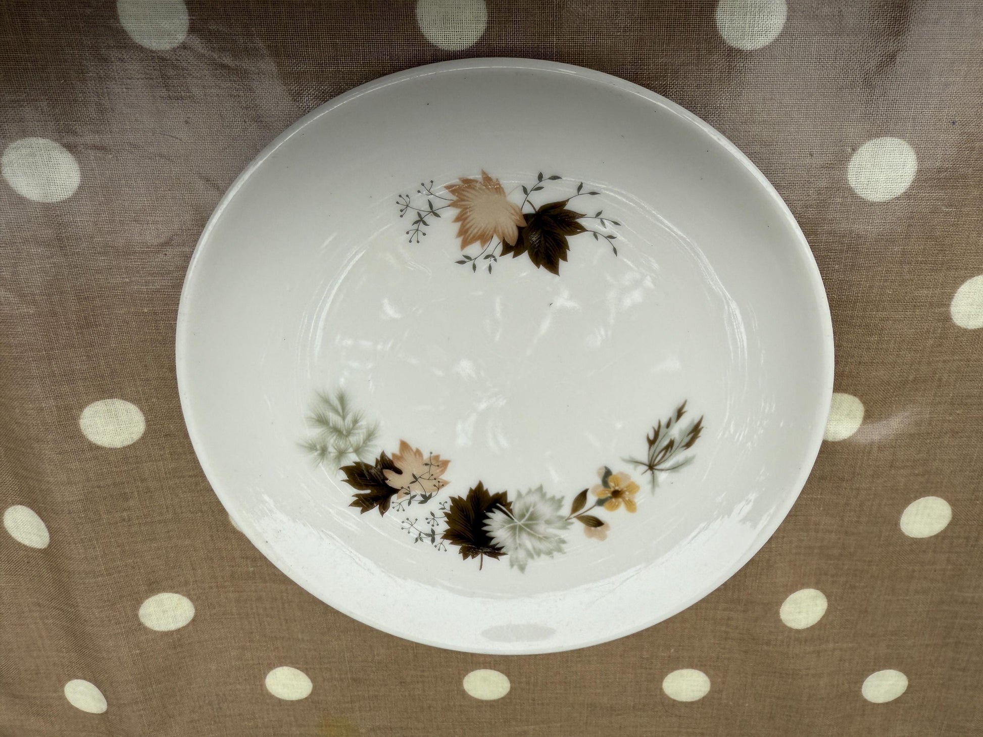 19 Piece Vintage Royal Doulton ‘Westwood’ Bone China - Part Dinner Service - Autumn Leaves