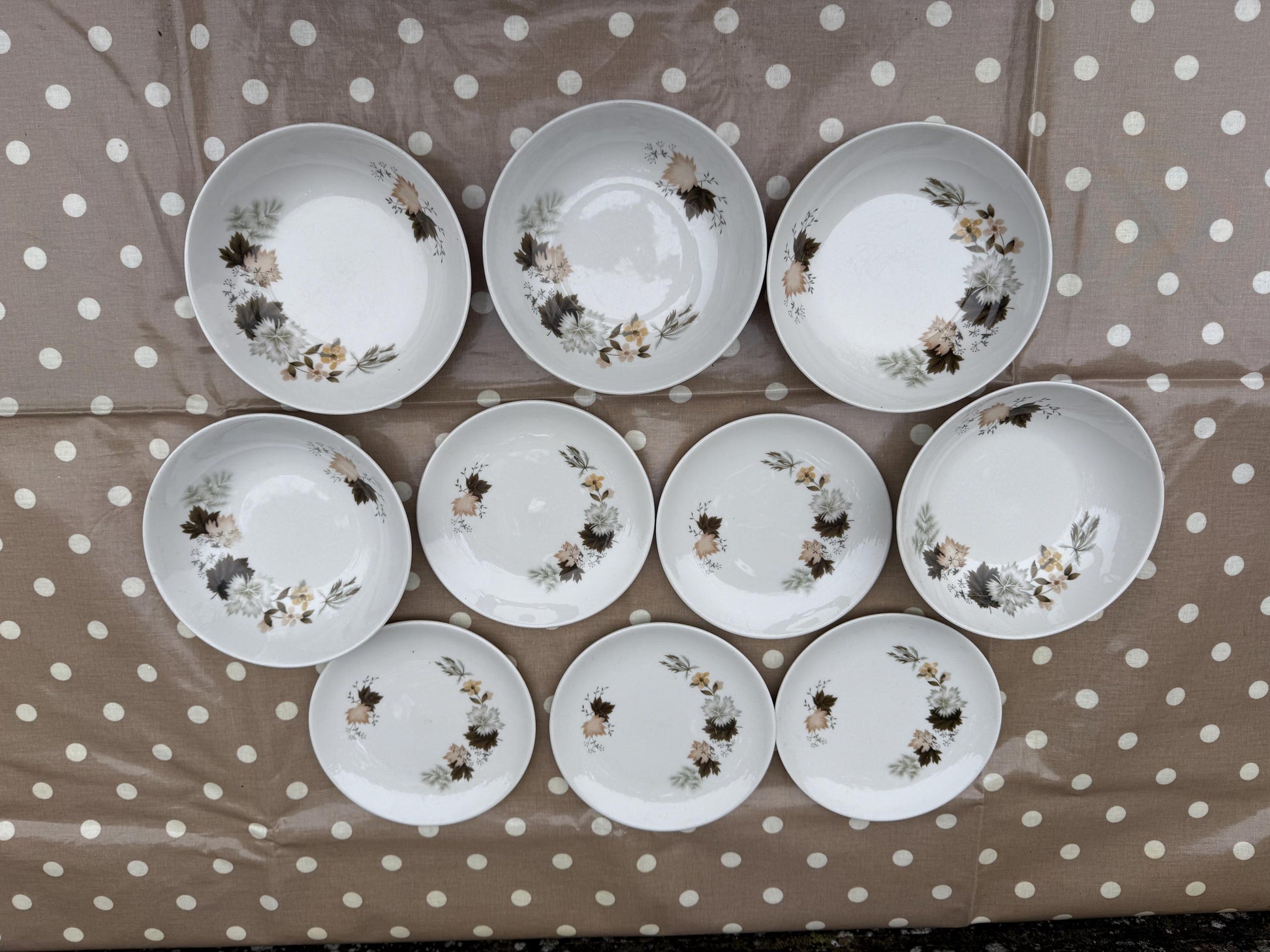 19 Piece Vintage Royal Doulton ‘Westwood’ Bone China - Part Dinner Service - Autumn Leaves
