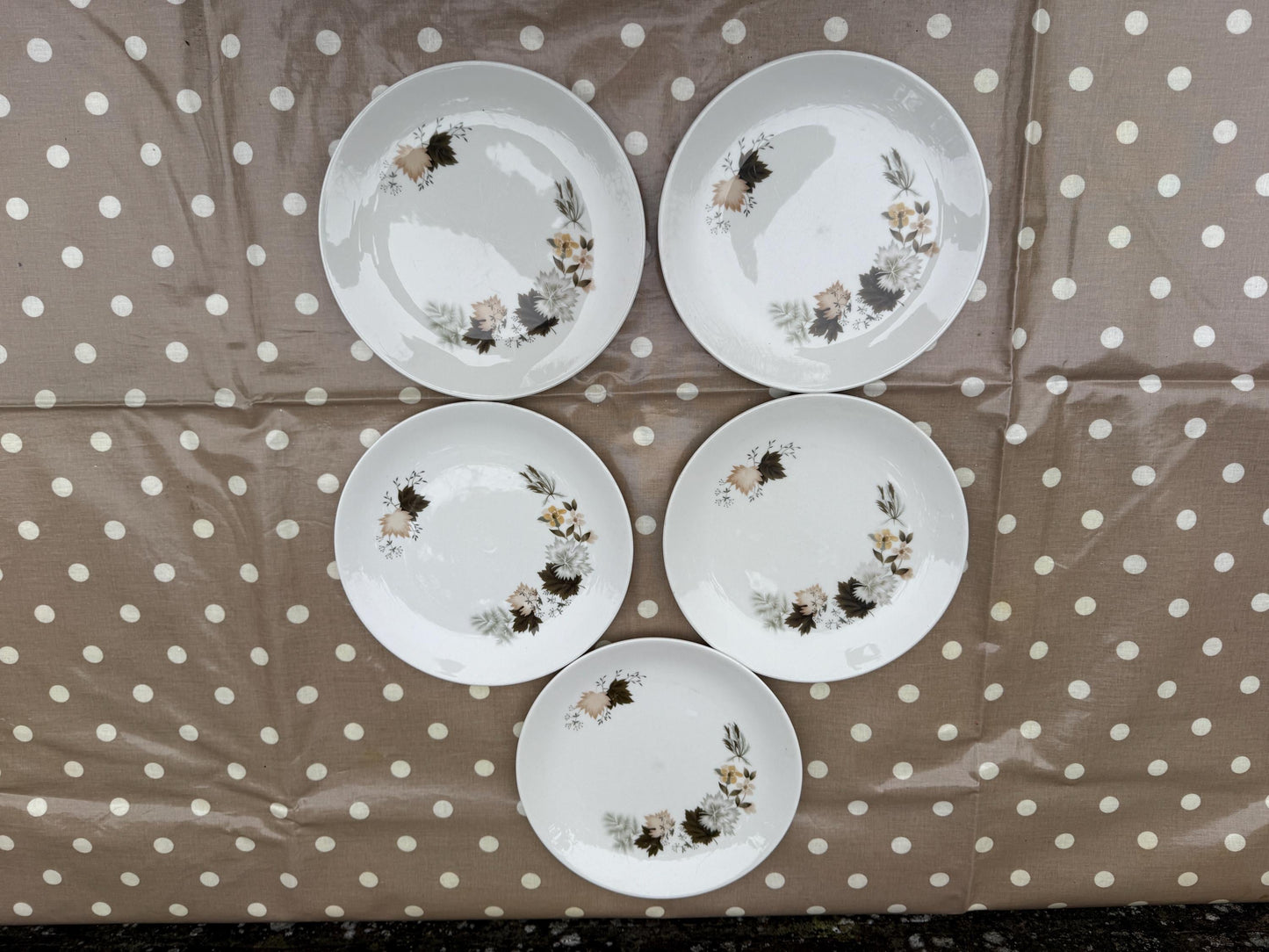 19 Piece Vintage Royal Doulton ‘Westwood’ Bone China - Part Dinner Service - Autumn Leaves