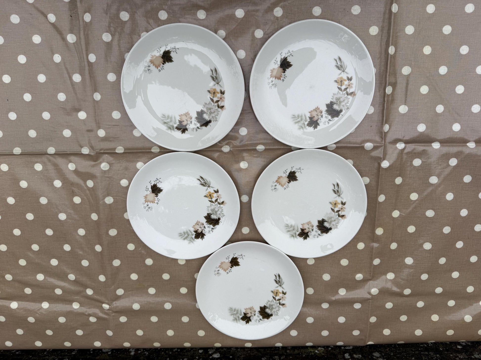 19 Piece Vintage Royal Doulton ‘Westwood’ Bone China - Part Dinner Service - Autumn Leaves