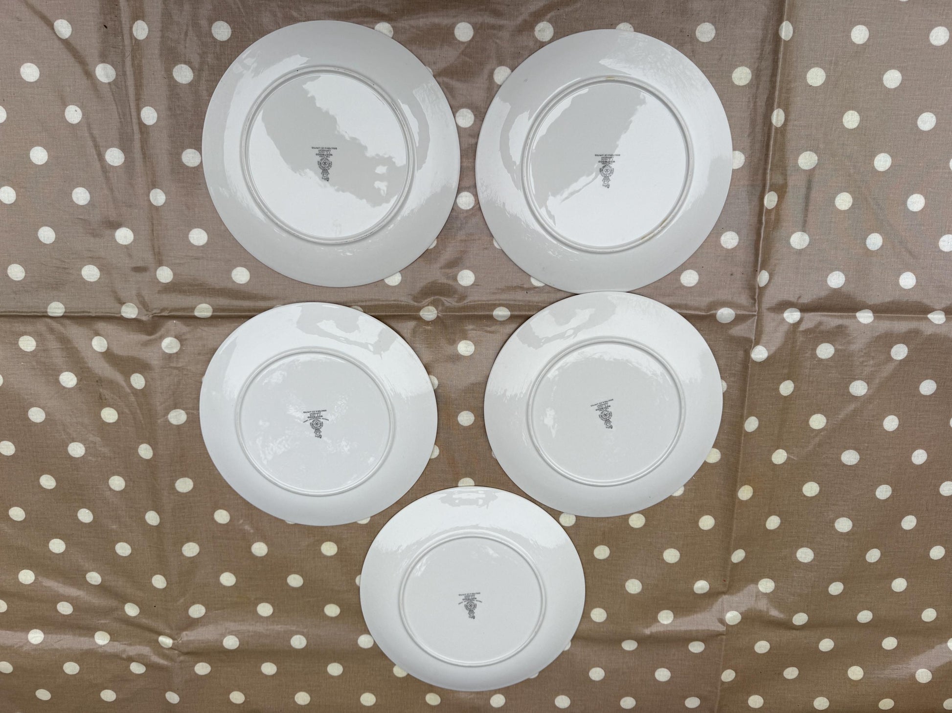 19 Piece Vintage Royal Doulton ‘Westwood’ Bone China - Part Dinner Service - Autumn Leaves